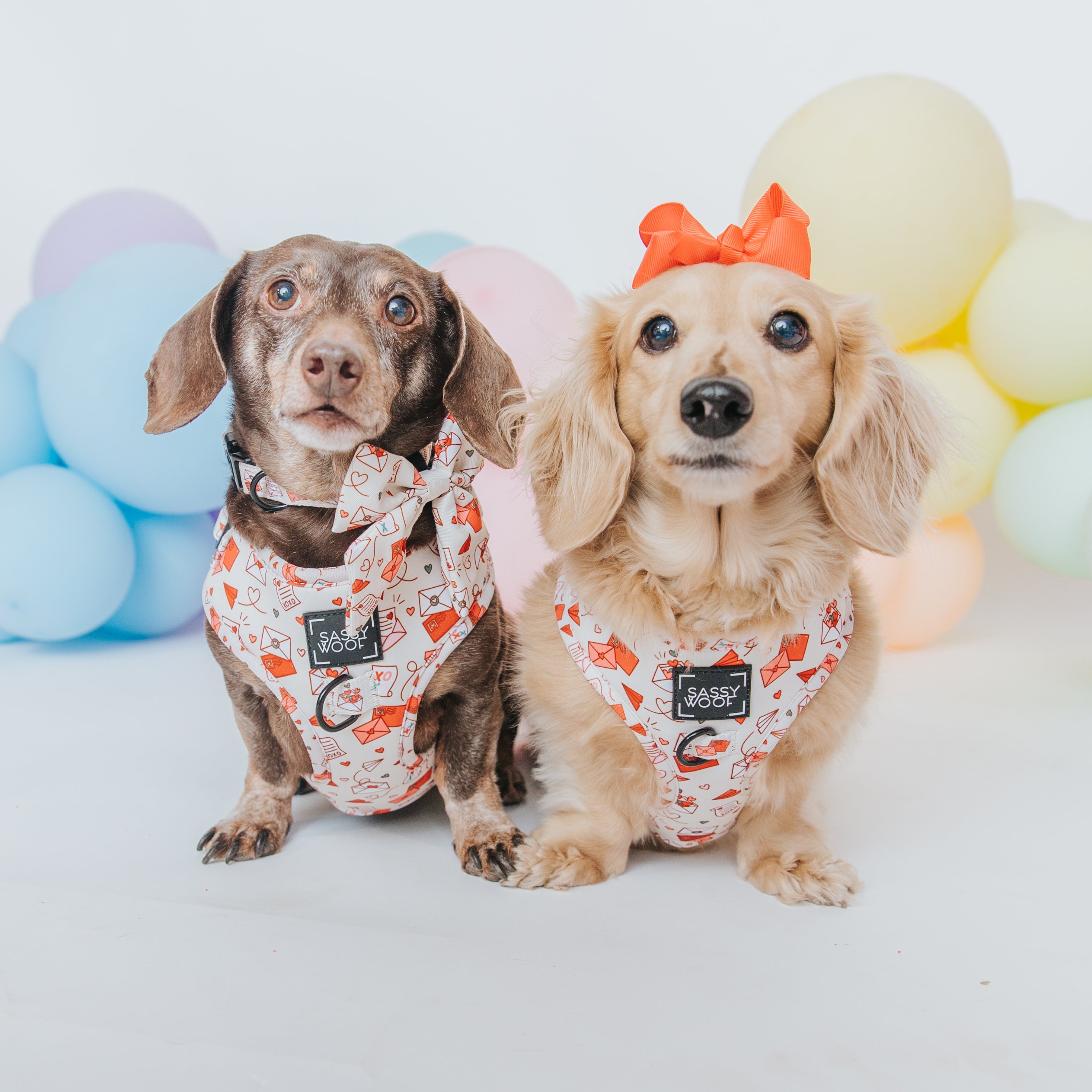 Dog Collar - P.S. I Woof You