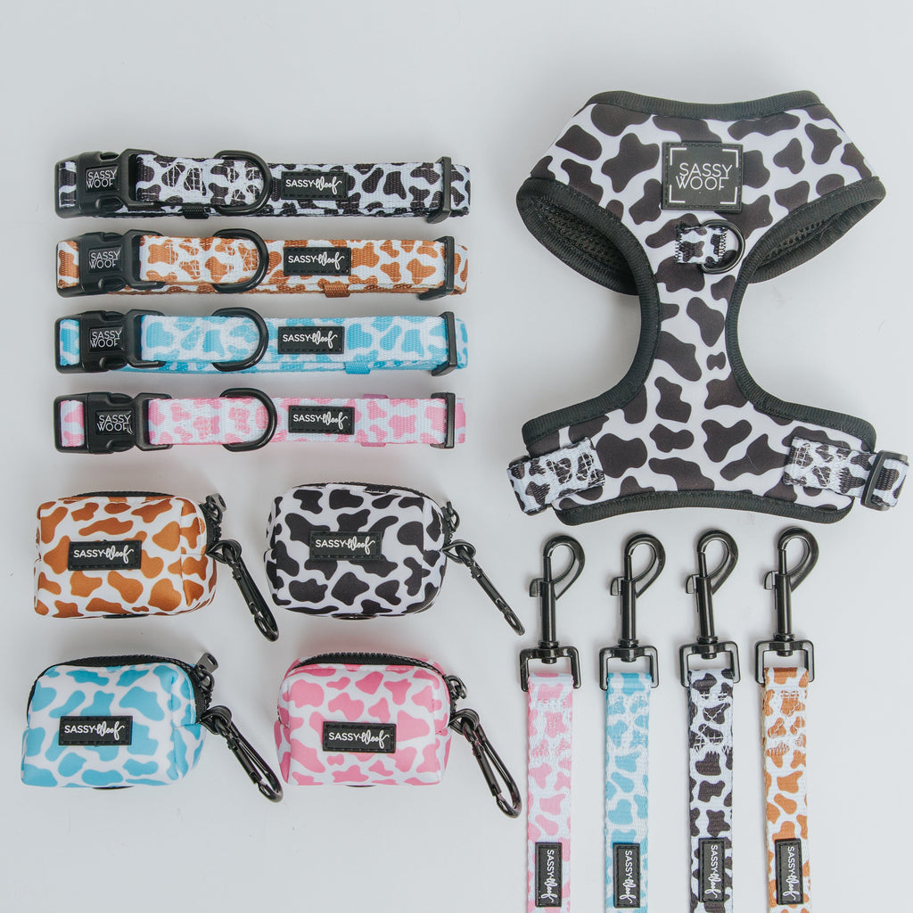 Dog Adjustable Harness - Whole Milk