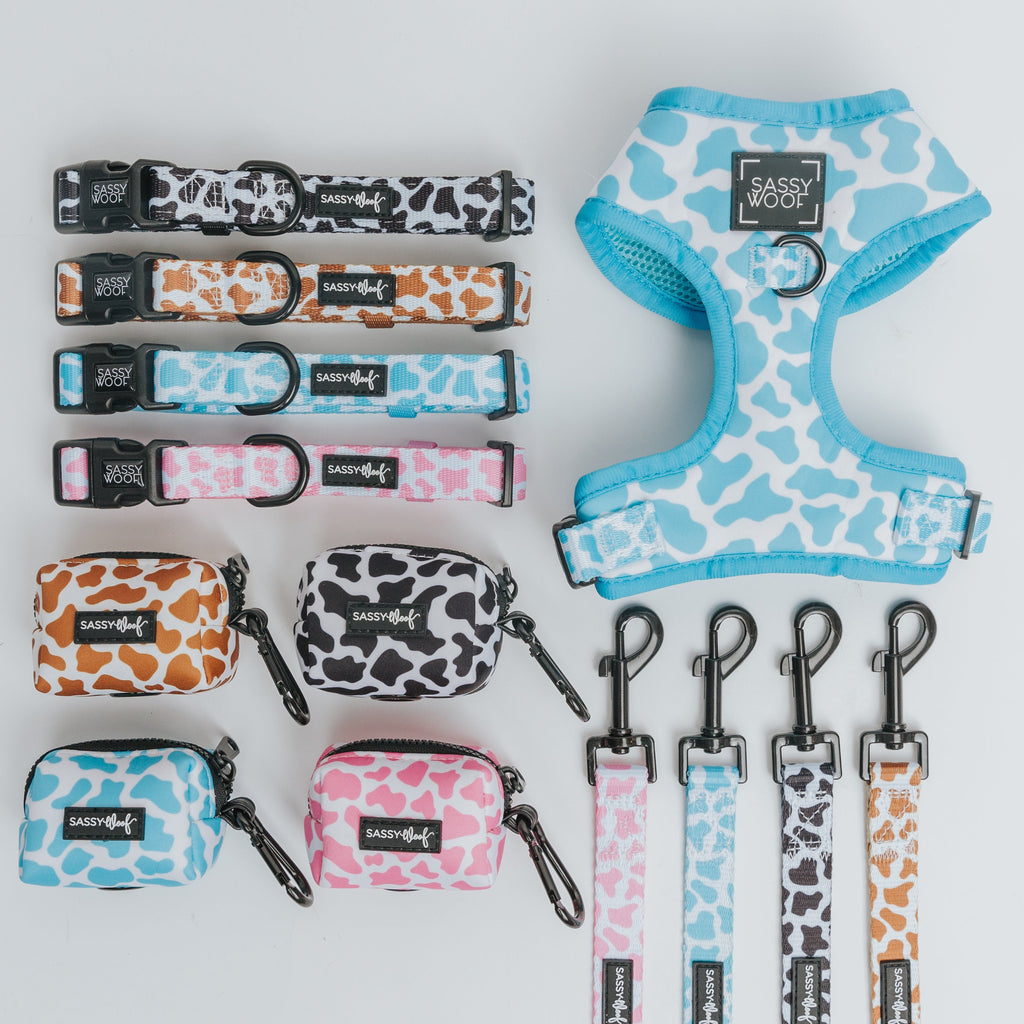Dog Adjustable Harness - Blueberry Milk