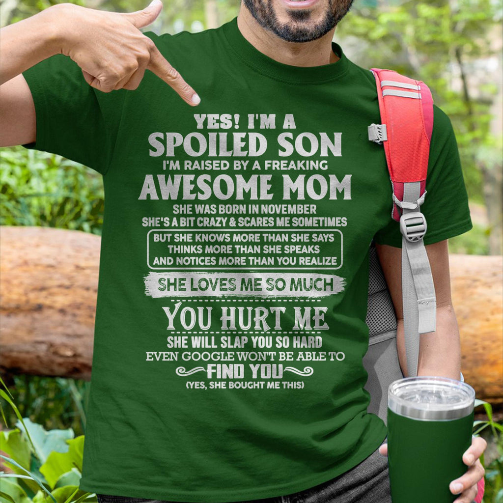 November - Awesome Mom - Perfect Gift For Son From Mom - NGHL11 (SKU05-47-11)