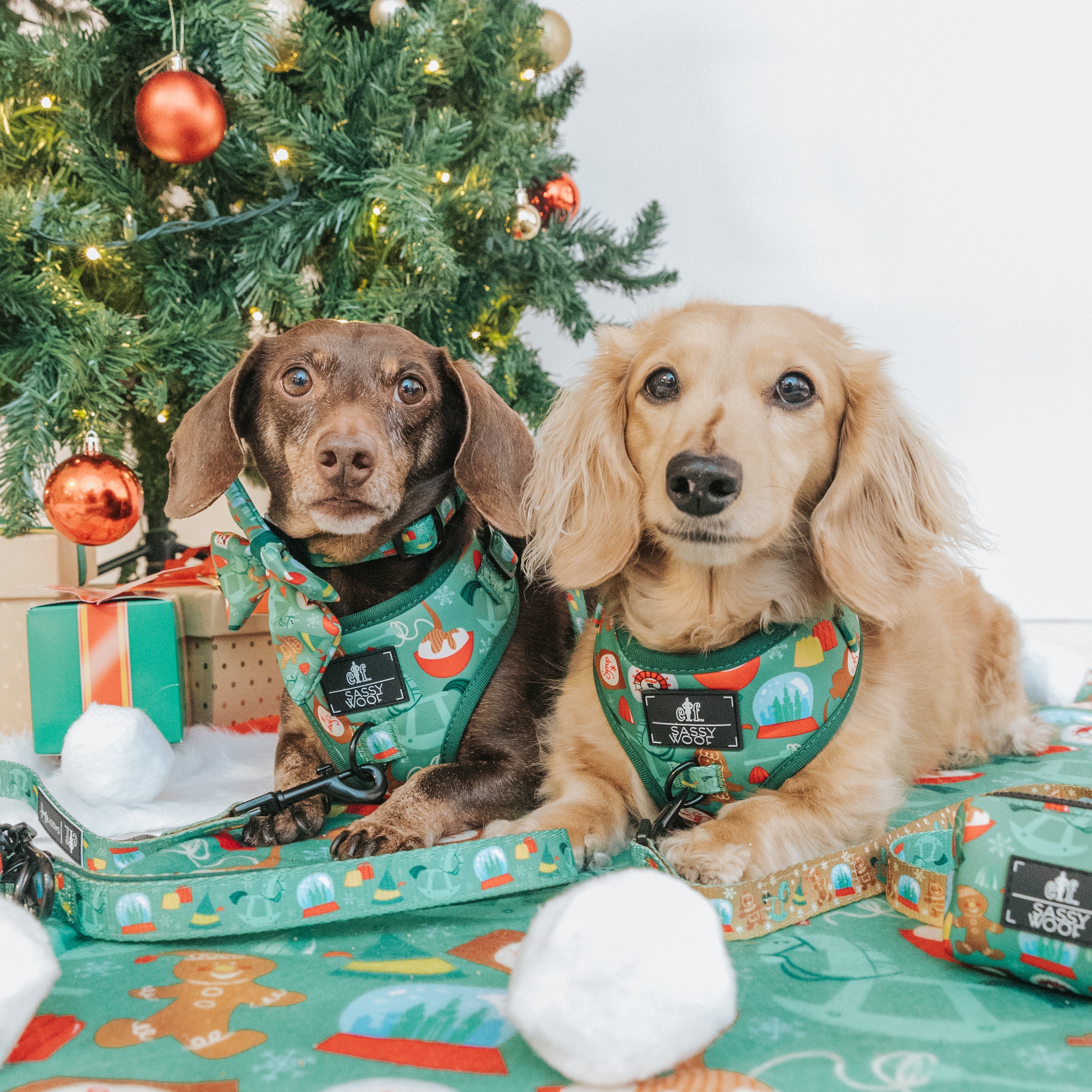 Dog Leash - Elf™