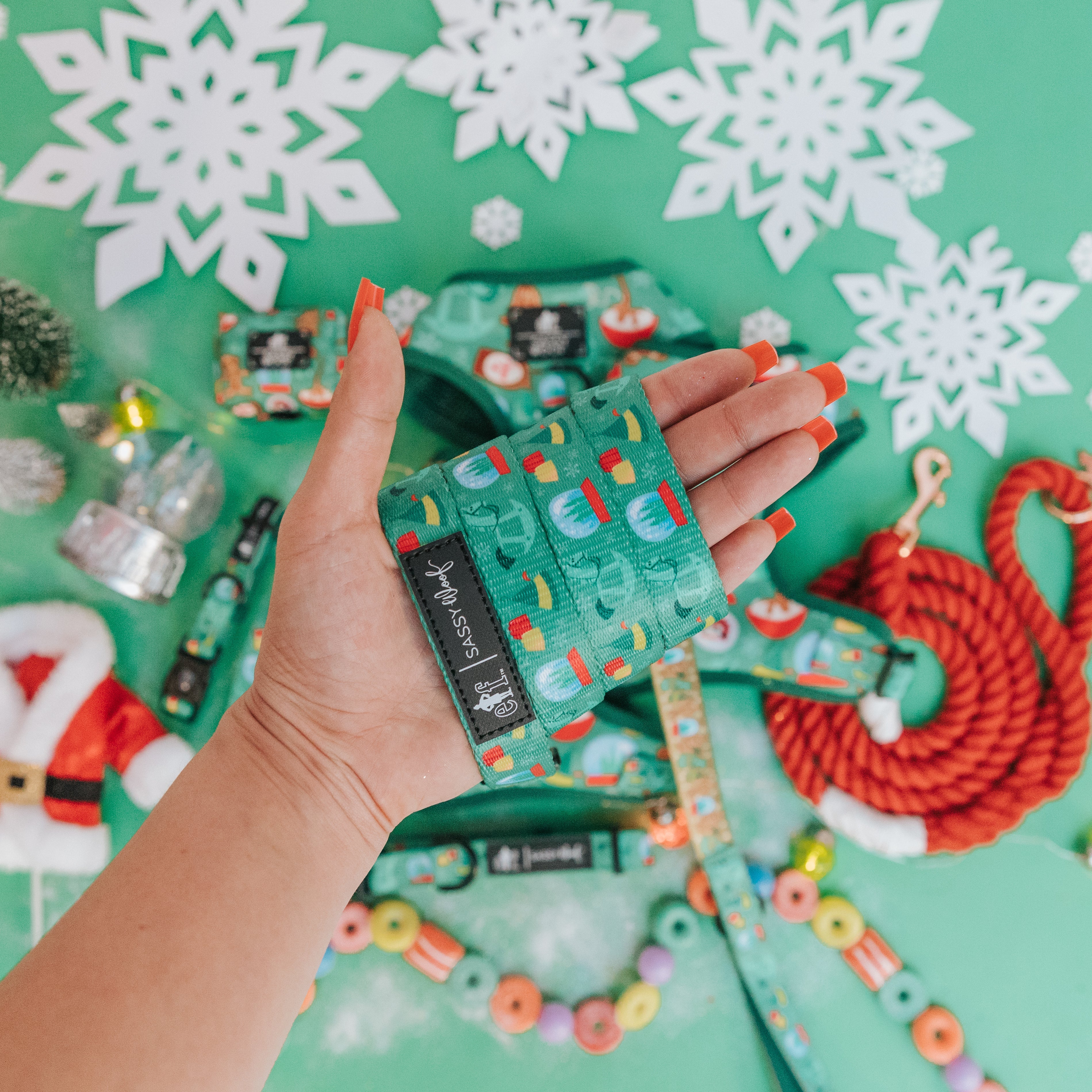 Dog Leash - Elf™