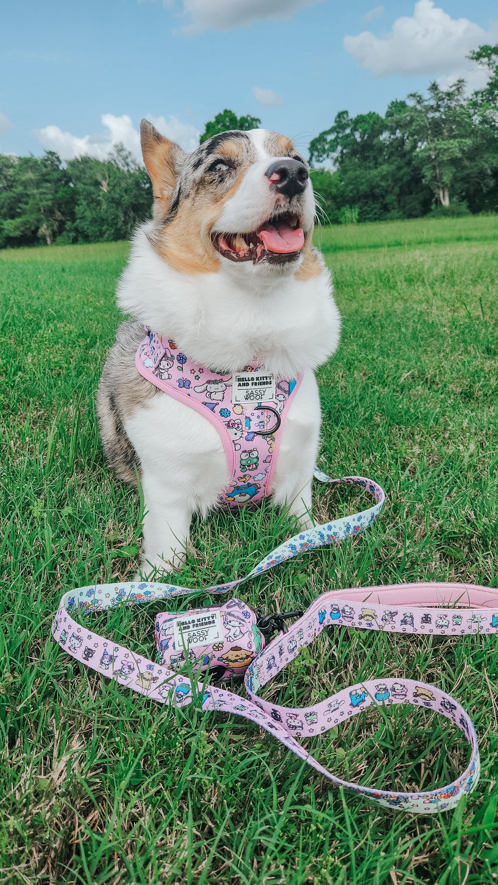 Dog Adjustable Harness - Hello Kitty® & Friends Flower Festival