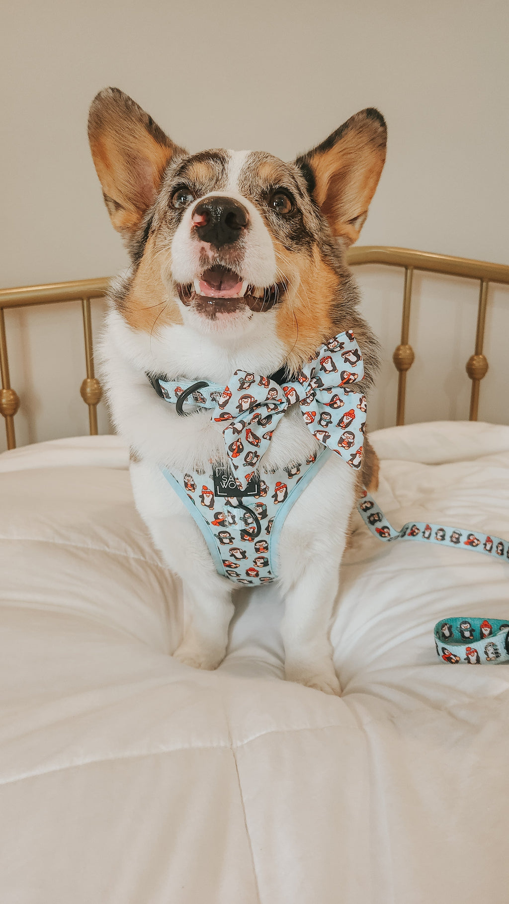 Dog Adjustable Harness - Winter Waddleland