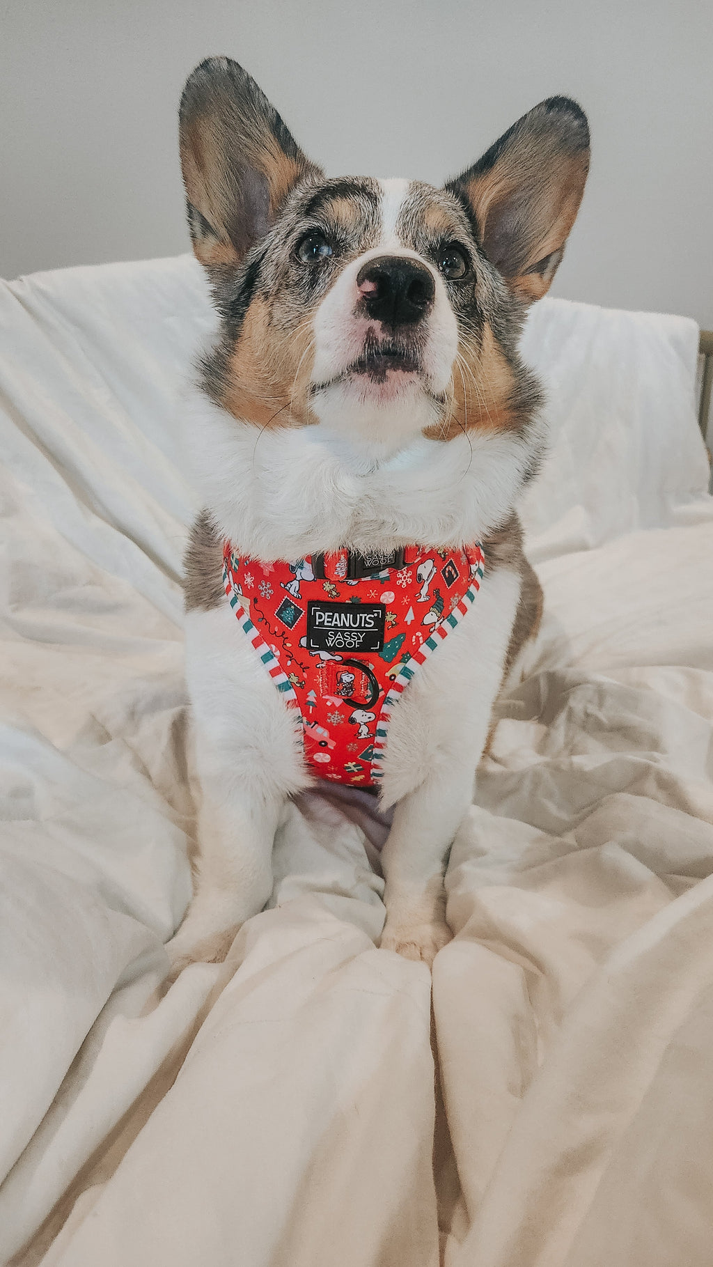 Dog Adjustable Harness - Peanuts™ Beagle Bells