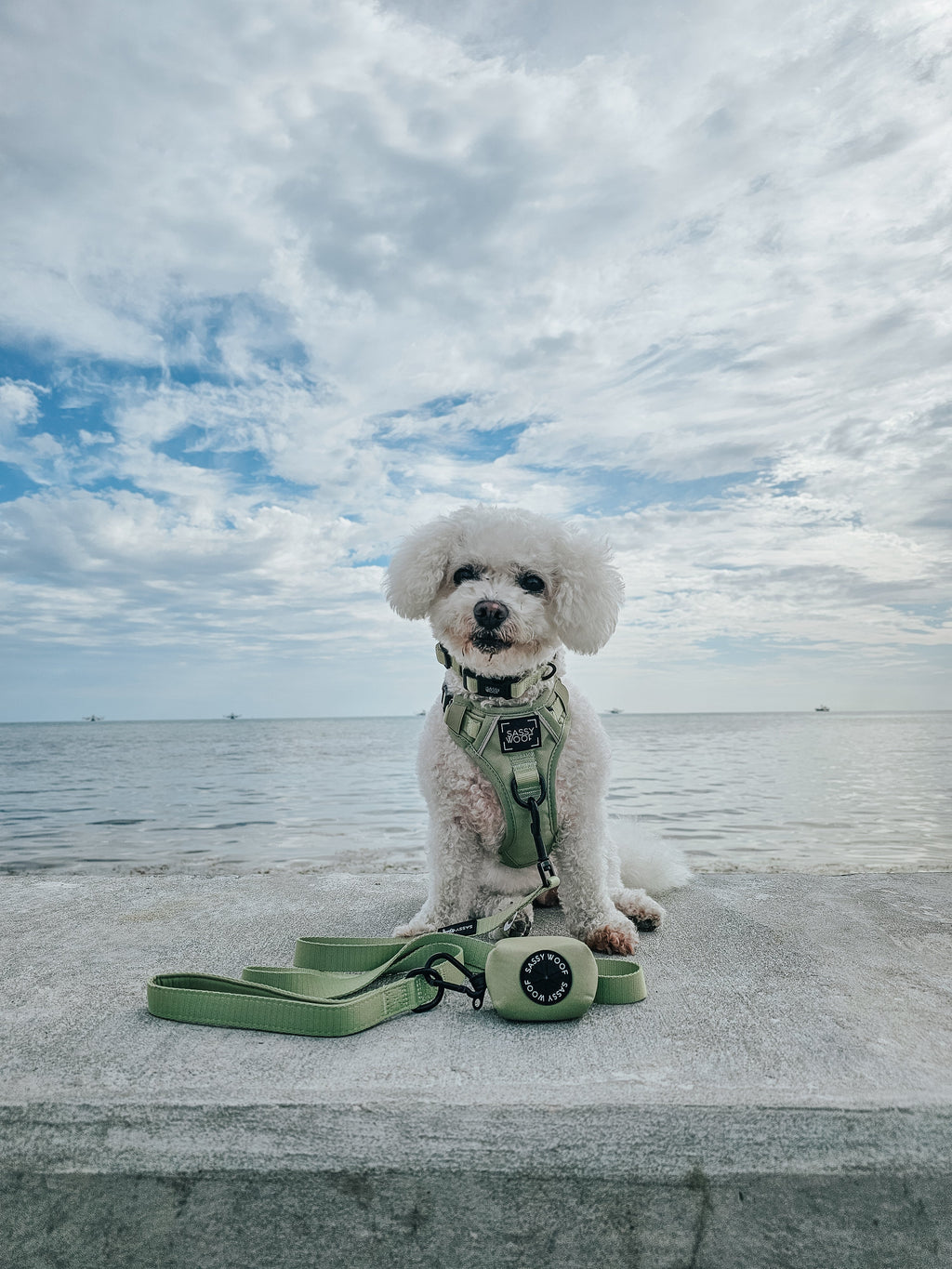 Dog Collar - Matcha