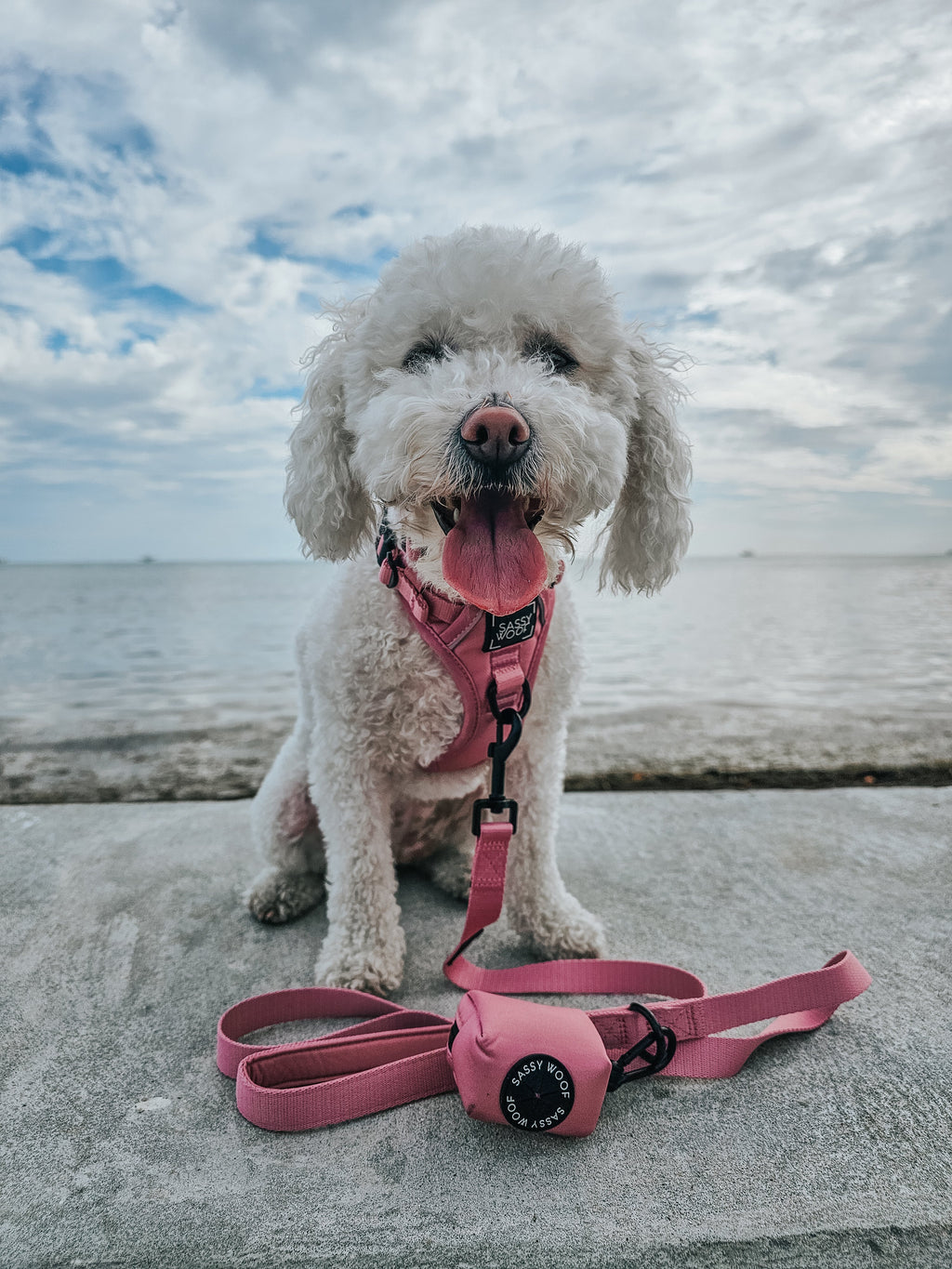 Dog Step-in Harness - Dusty Rose