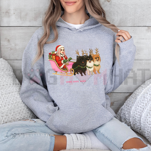"Hoe Hoe Hoe" Holiday Hoodie – Classic Christmas Slogan Pullover