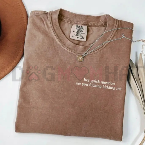 "Hey Quick Question Are You Kidding Me" Comfort Colors Shirt