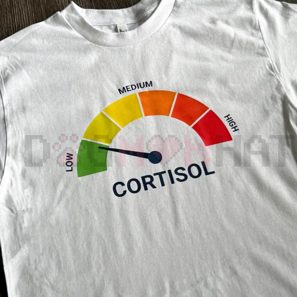 High Cortisol Low Cortisol Funny T-Shirt – Relatable Mental Health Humor Tee, Sarcastic Stress Management Shirt, Burnout Awareness Graphic Top, Trendy Oversized Wellness Apparel