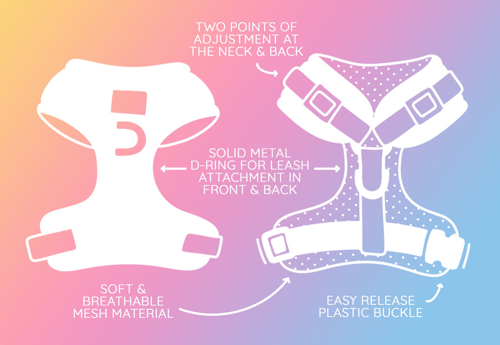 Dog Adjustable Harness - Tea Pawty