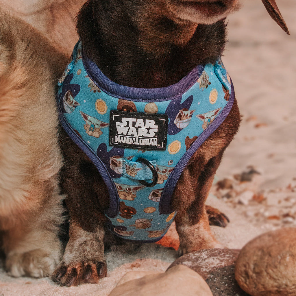 Dog Adjustable Harness - STAR WARS™ The Mandalorian™