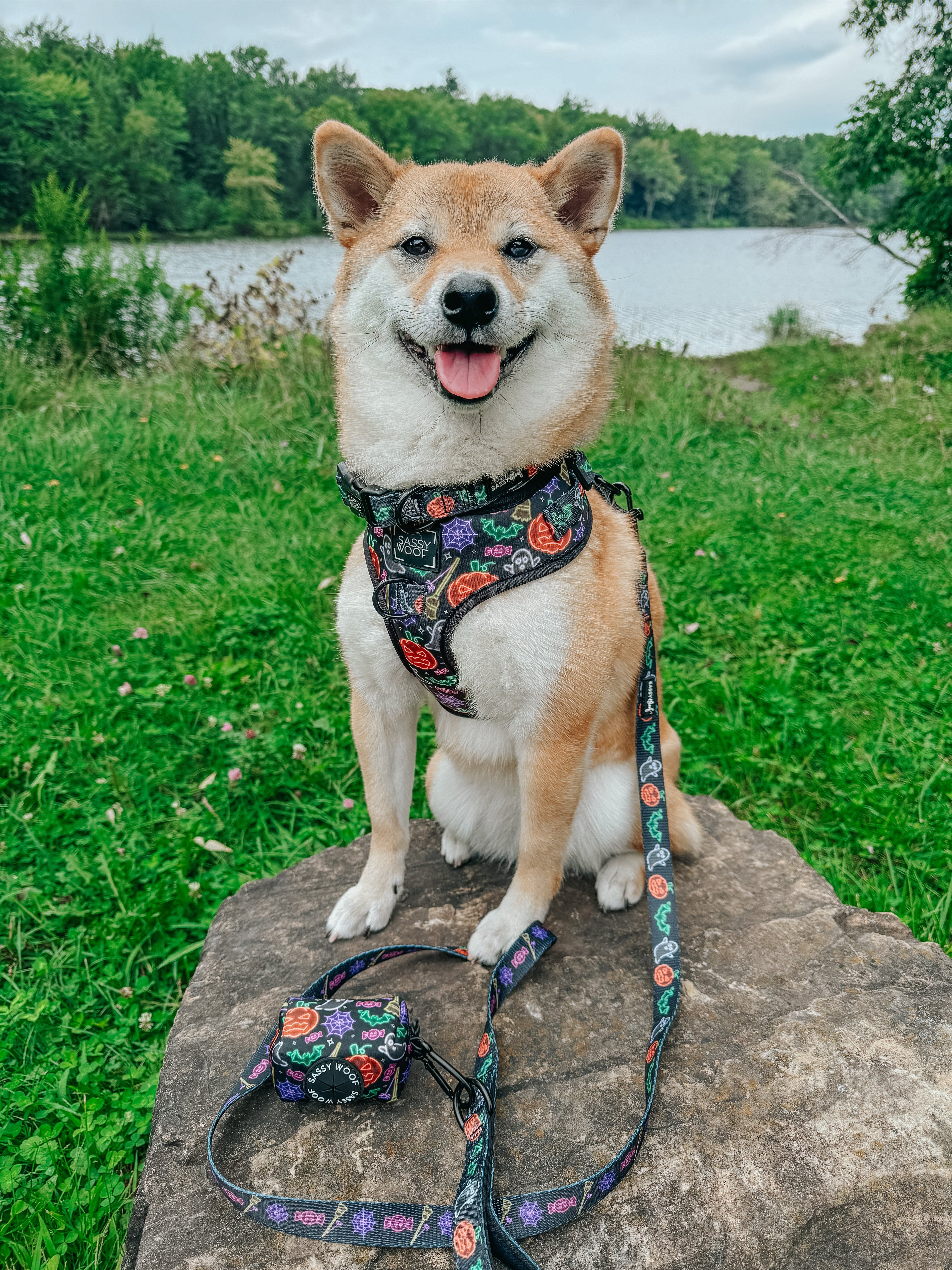 Dog Adjustable Harness - Neon Frights