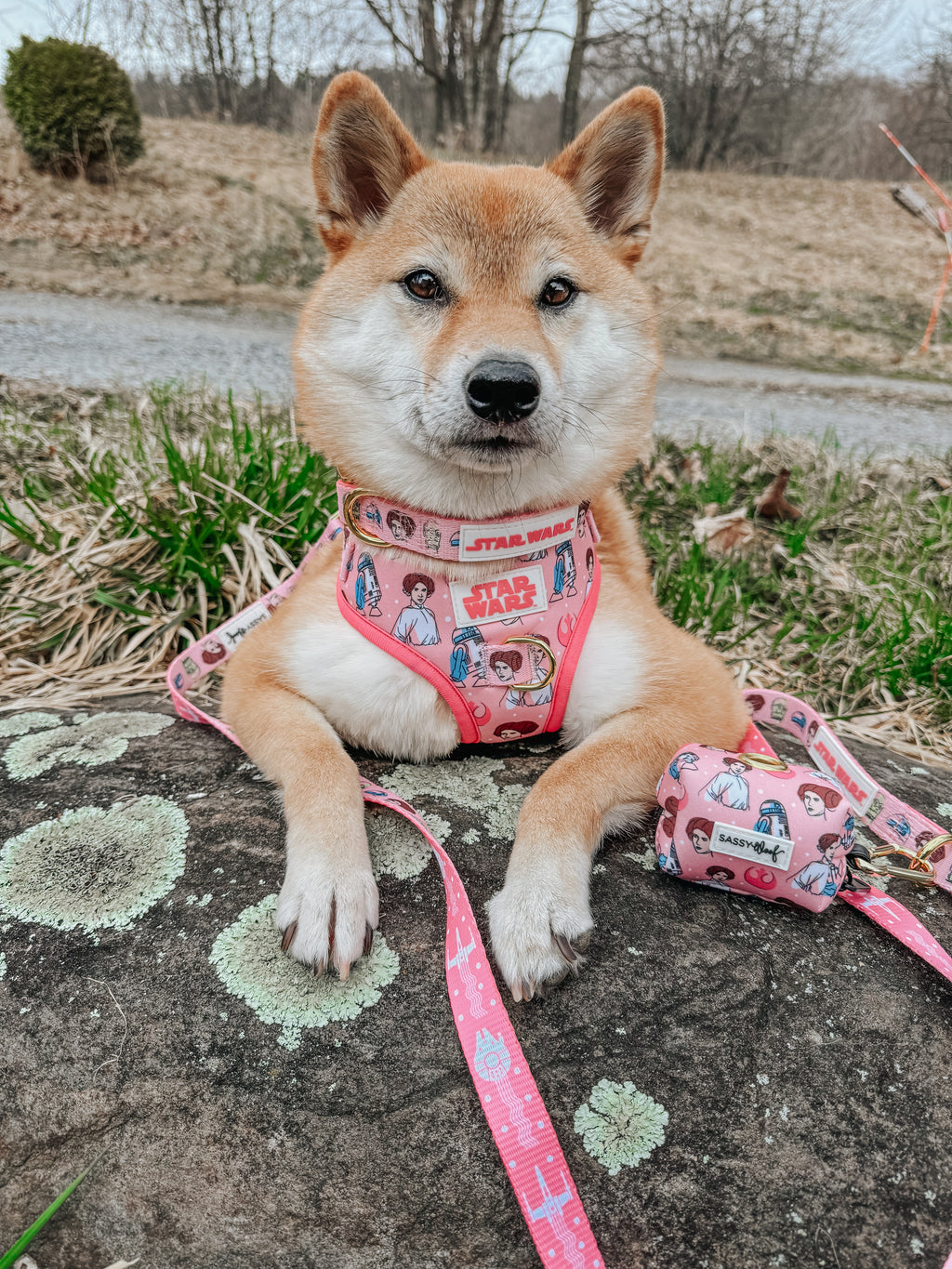 Dog Adjustable Harness - STAR WARS™ Princess Leia