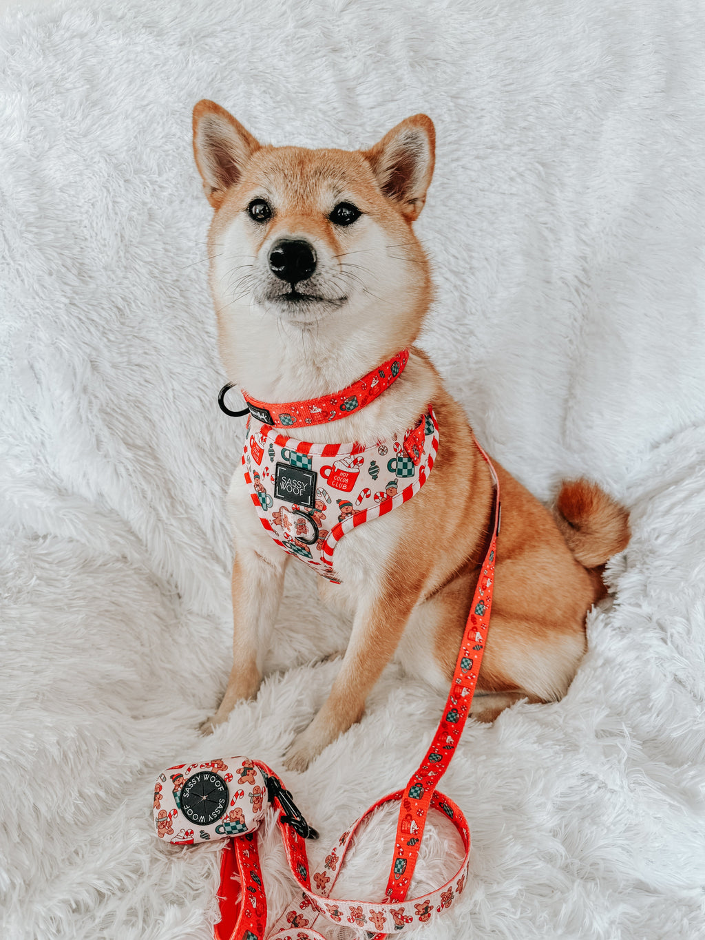 Dog Adjustable Harness - Hot Cocoa Club