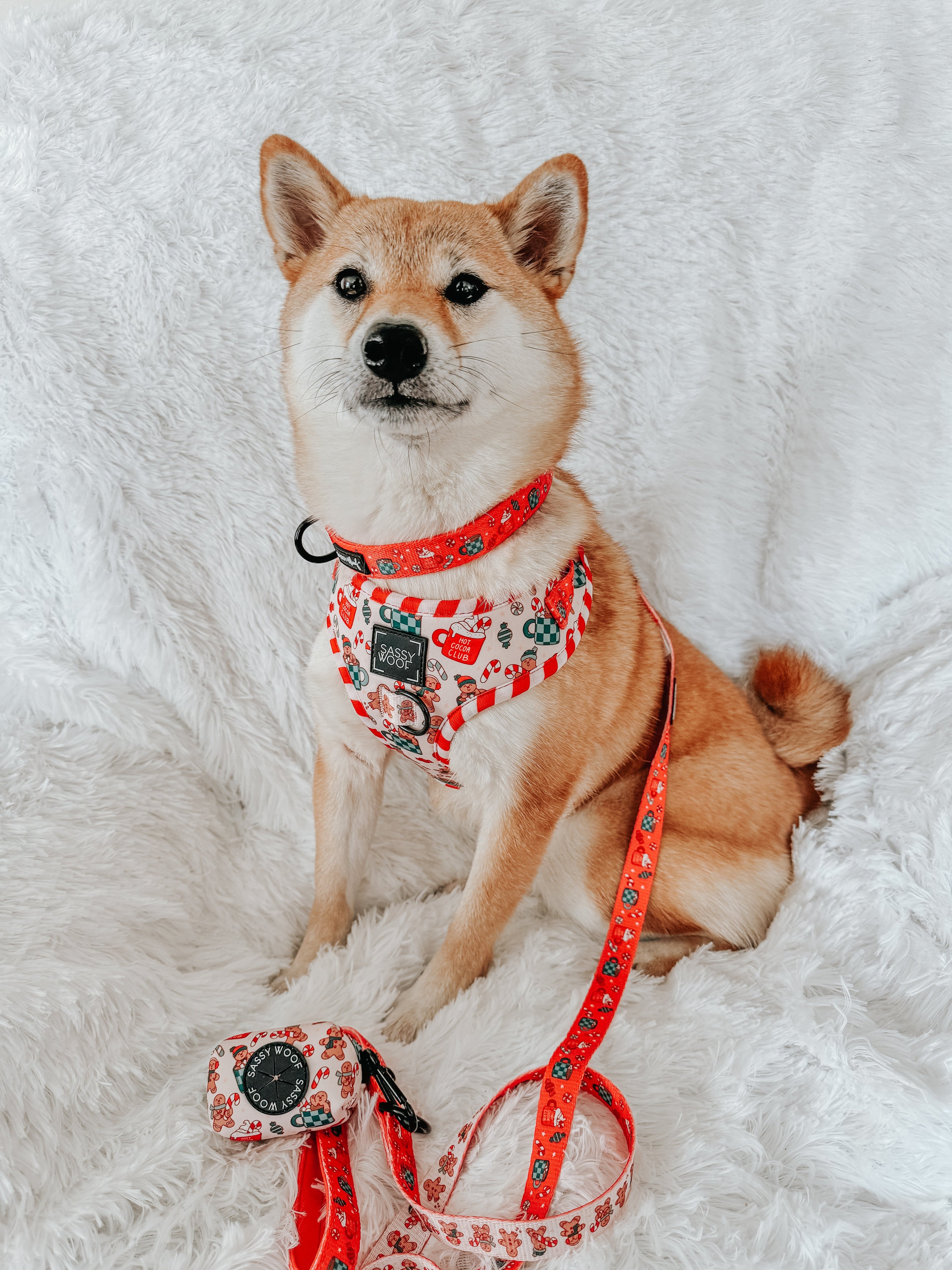 Dog Adjustable Harness - Hot Cocoa Club