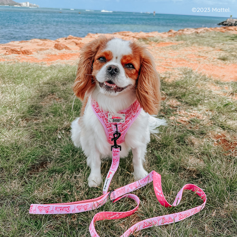 Dog Adjustable Harness - BARBIE™ Malibu