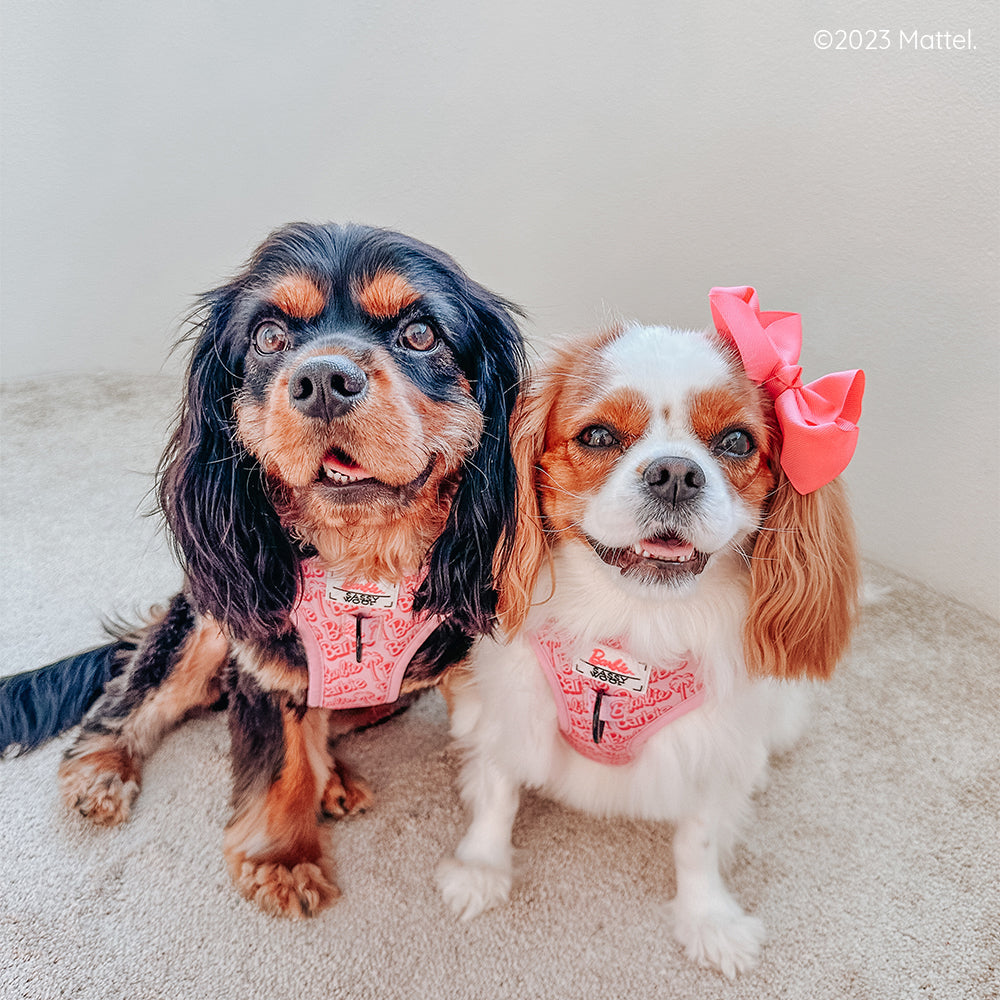 Dog Adjustable Harness - BARBIE™ Malibu