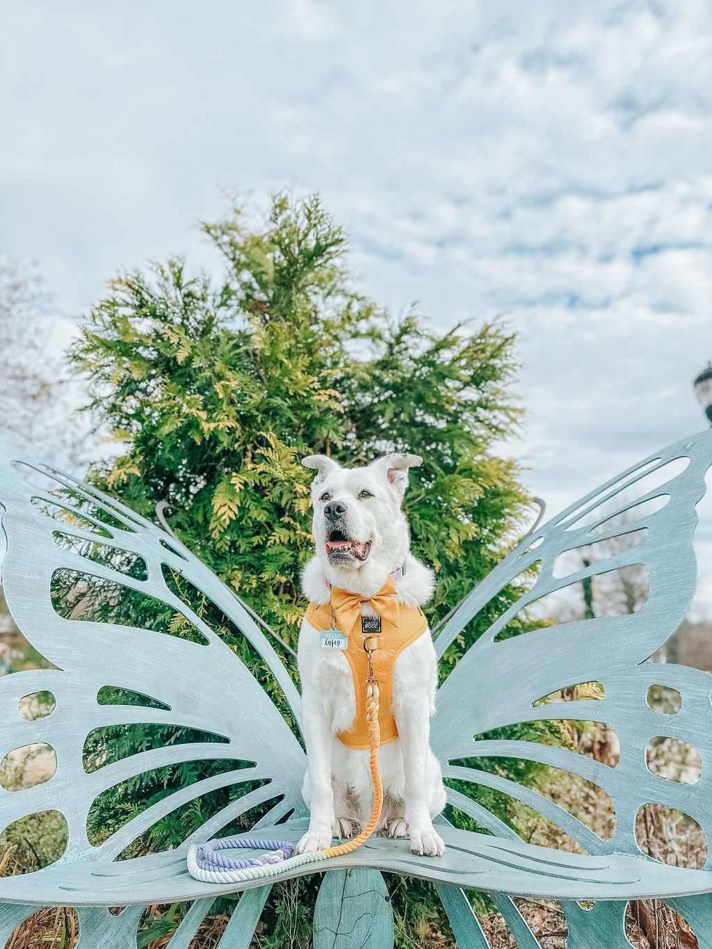 Dog Adjustable Harness - Sunflower Fields