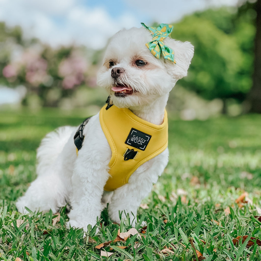 Dog Adjustable Harness - Neon Yellow