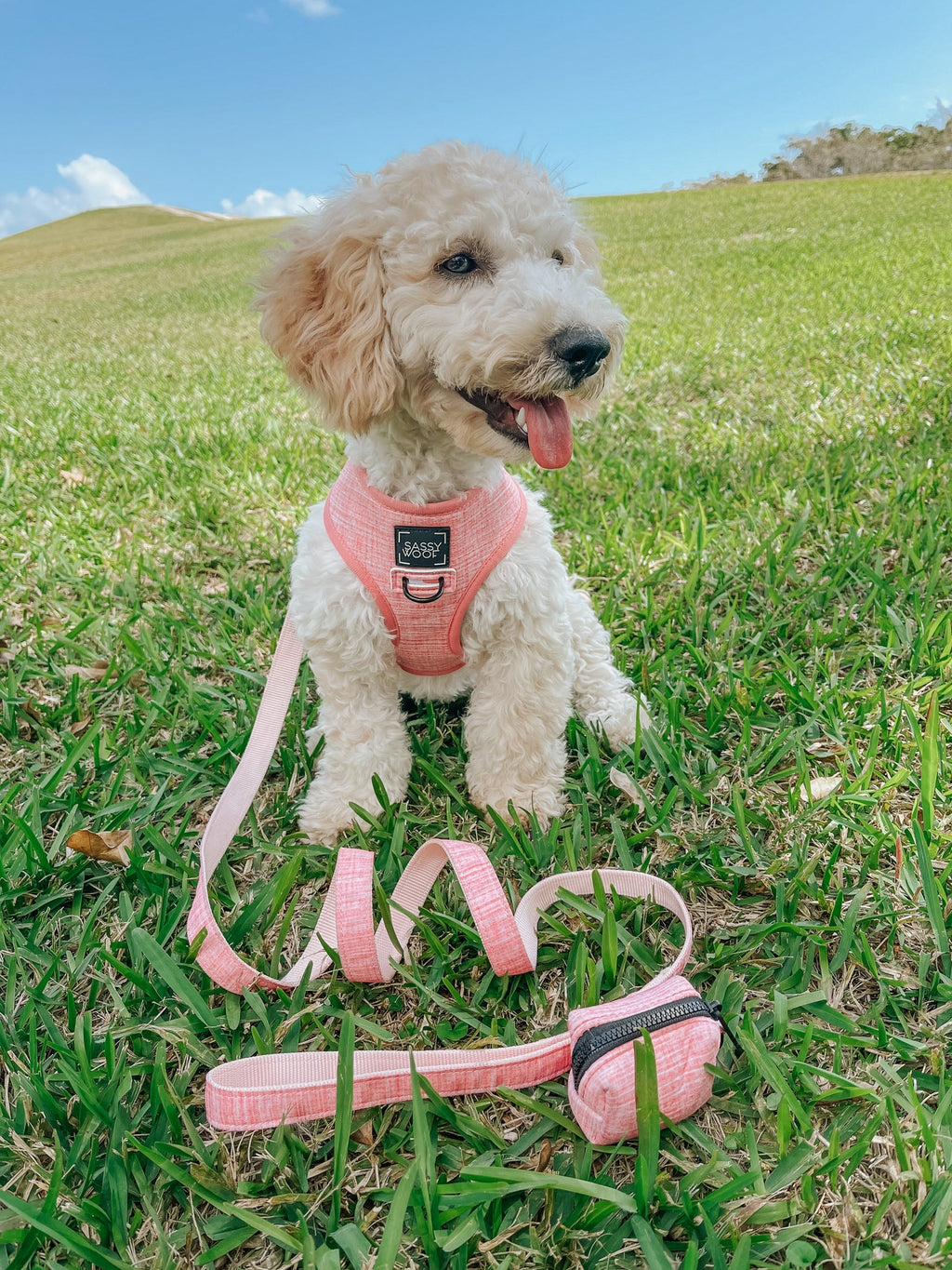 Dog Reversible Harness - Dolce Rose