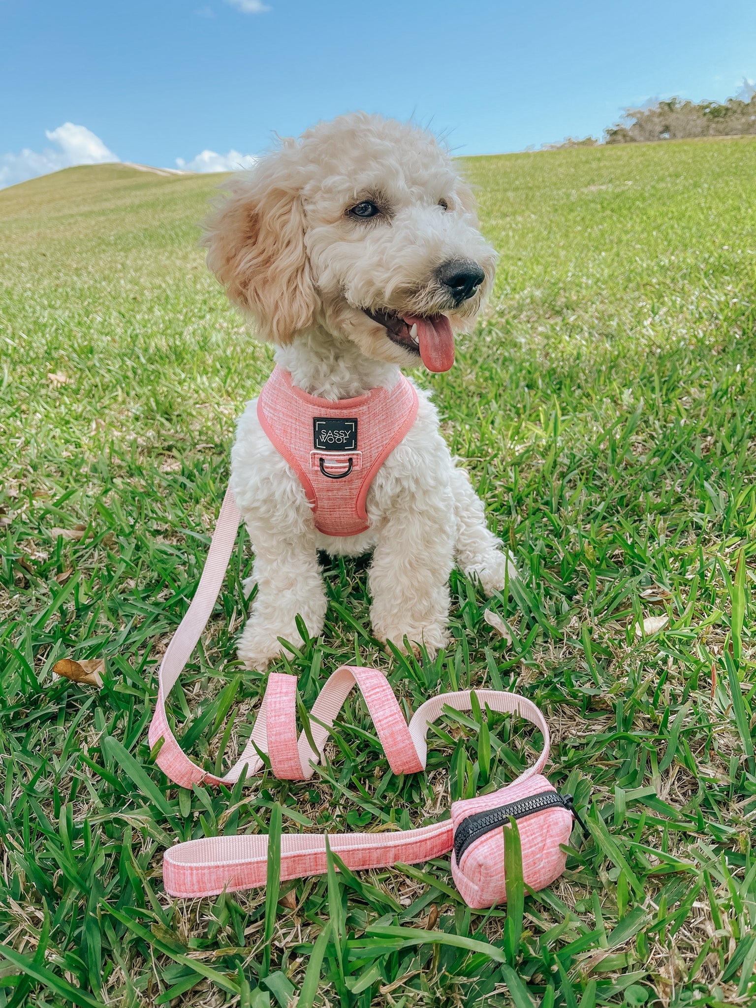 Dog Reversible Harness - Dolce Rose