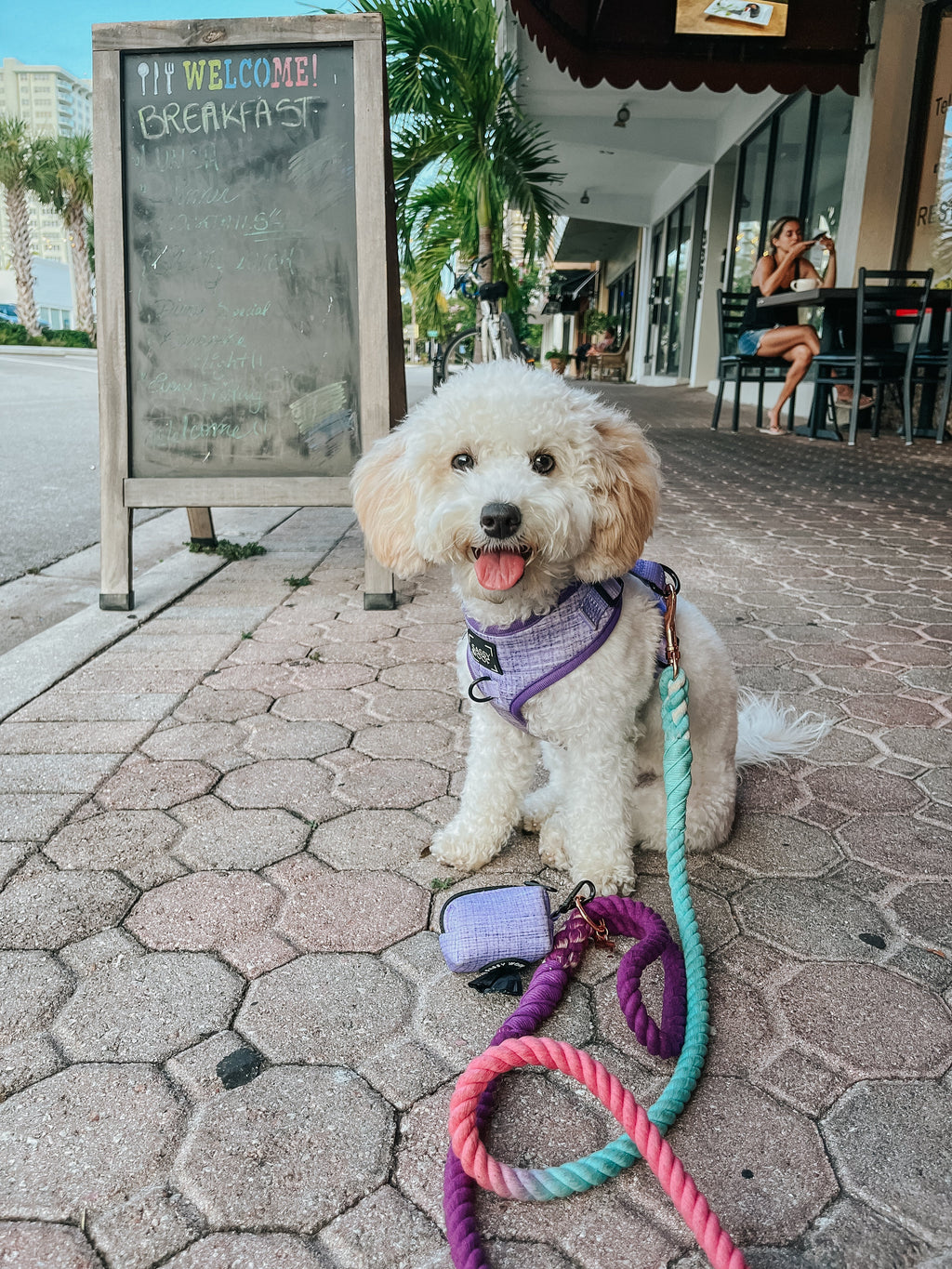 Dog Rope Leash - Madeline
