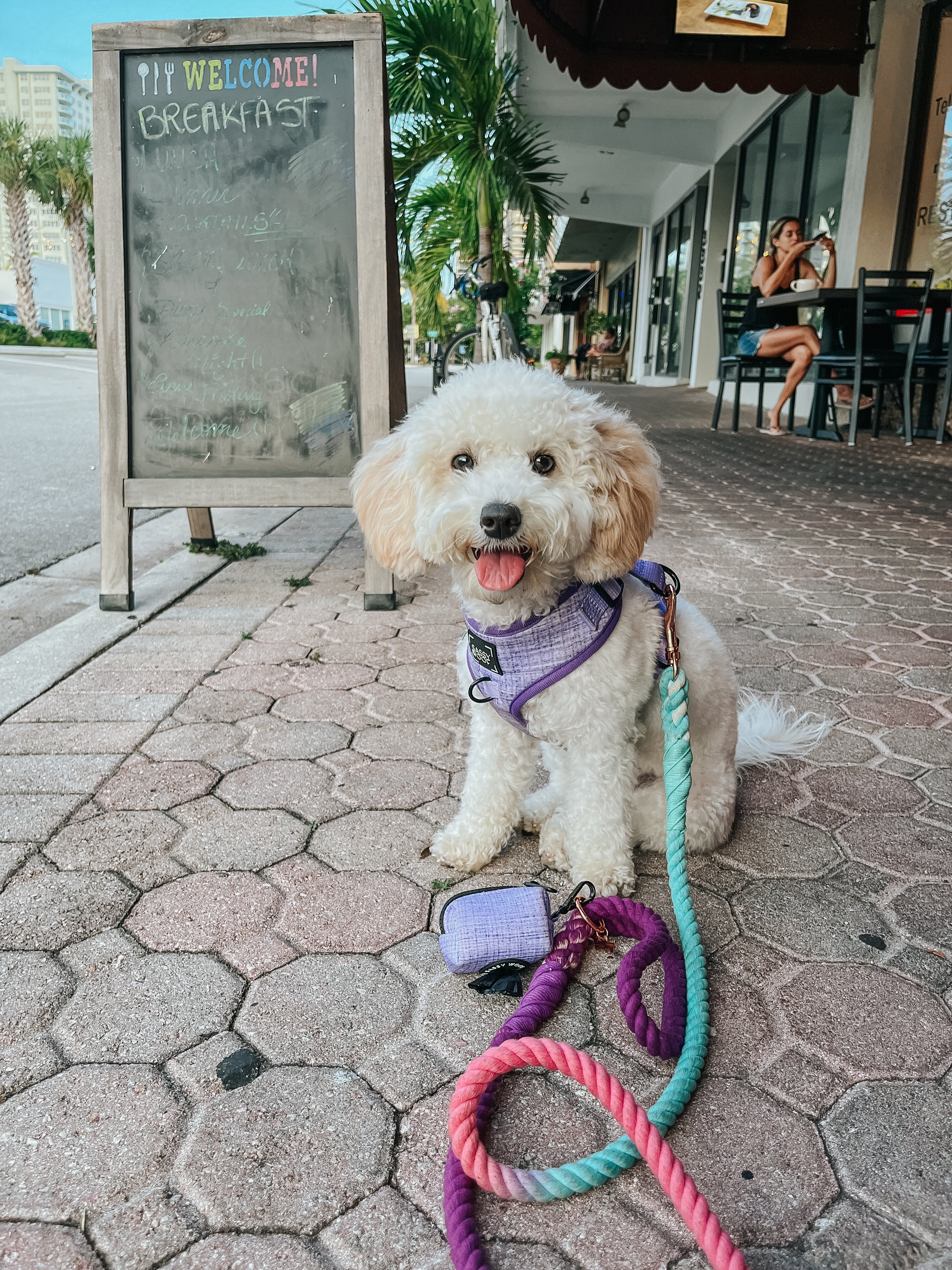 Dog Rope Leash - Madeline