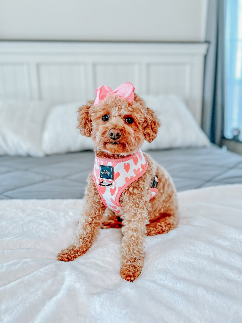 Dog Reversible Harness - Dolce Rose
