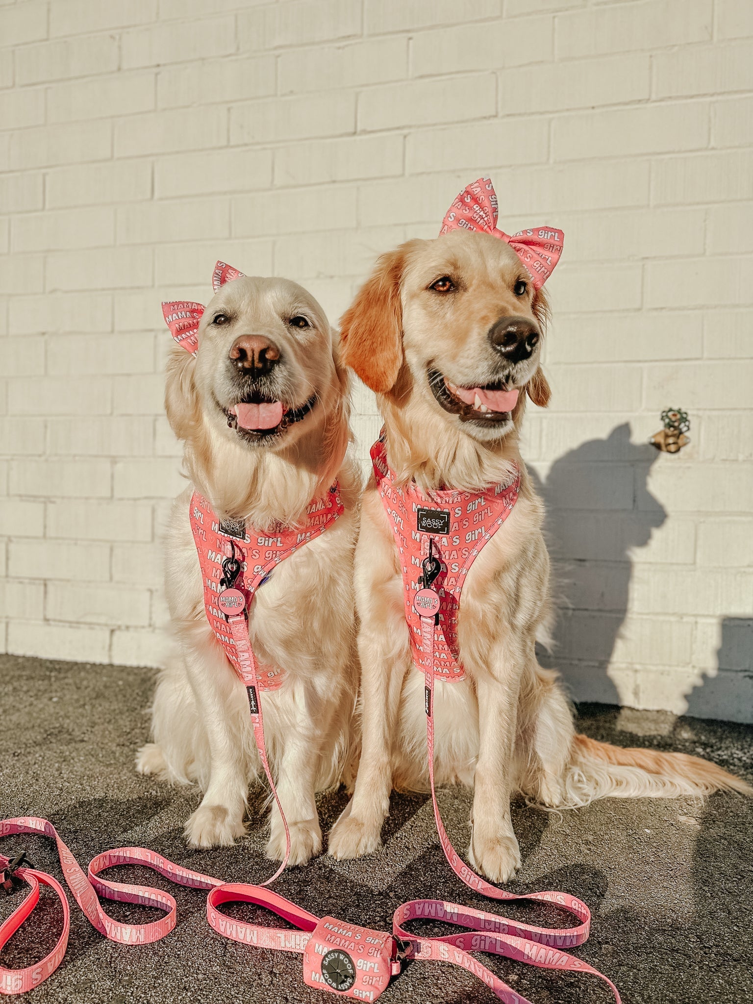 Collar Tag - Mama's Girl