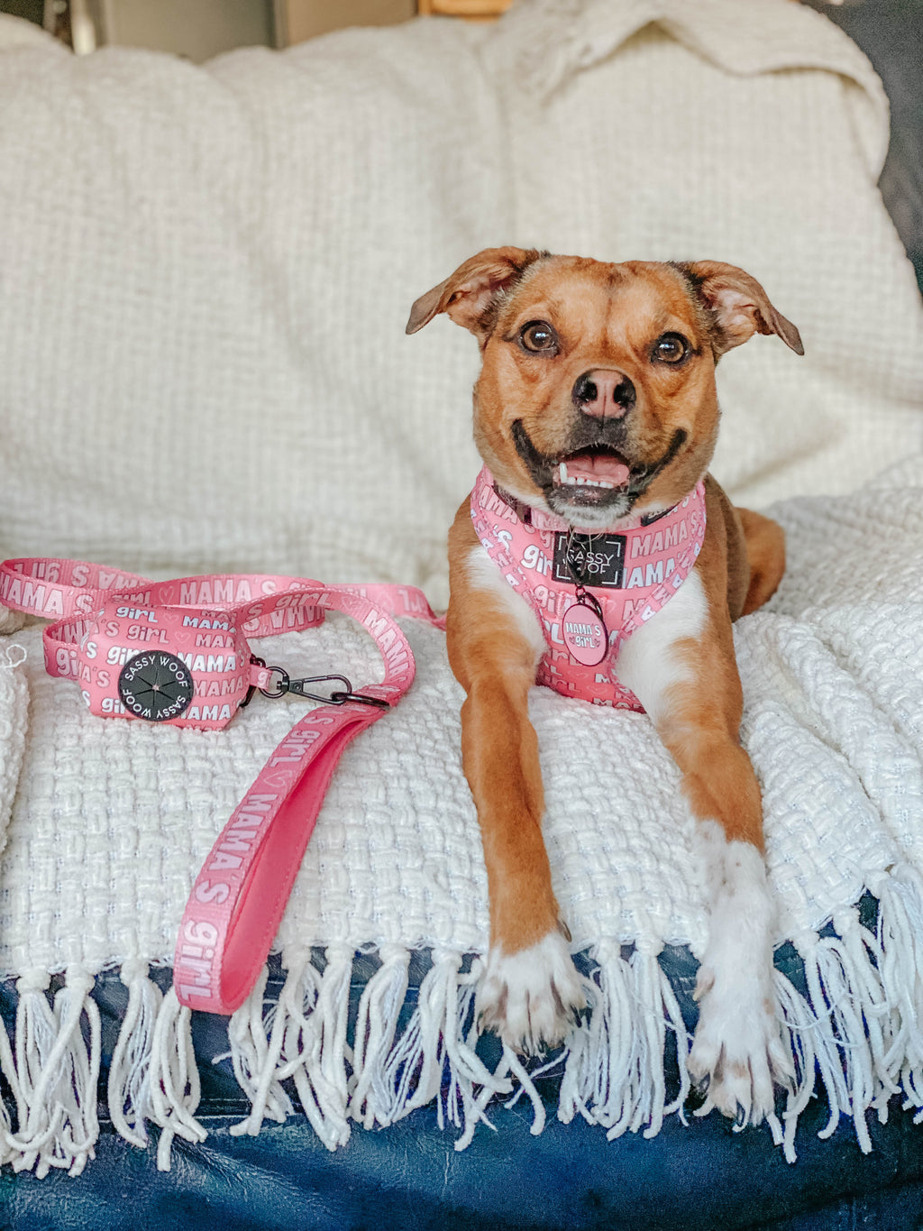 Collar Tag - Mama's Girl