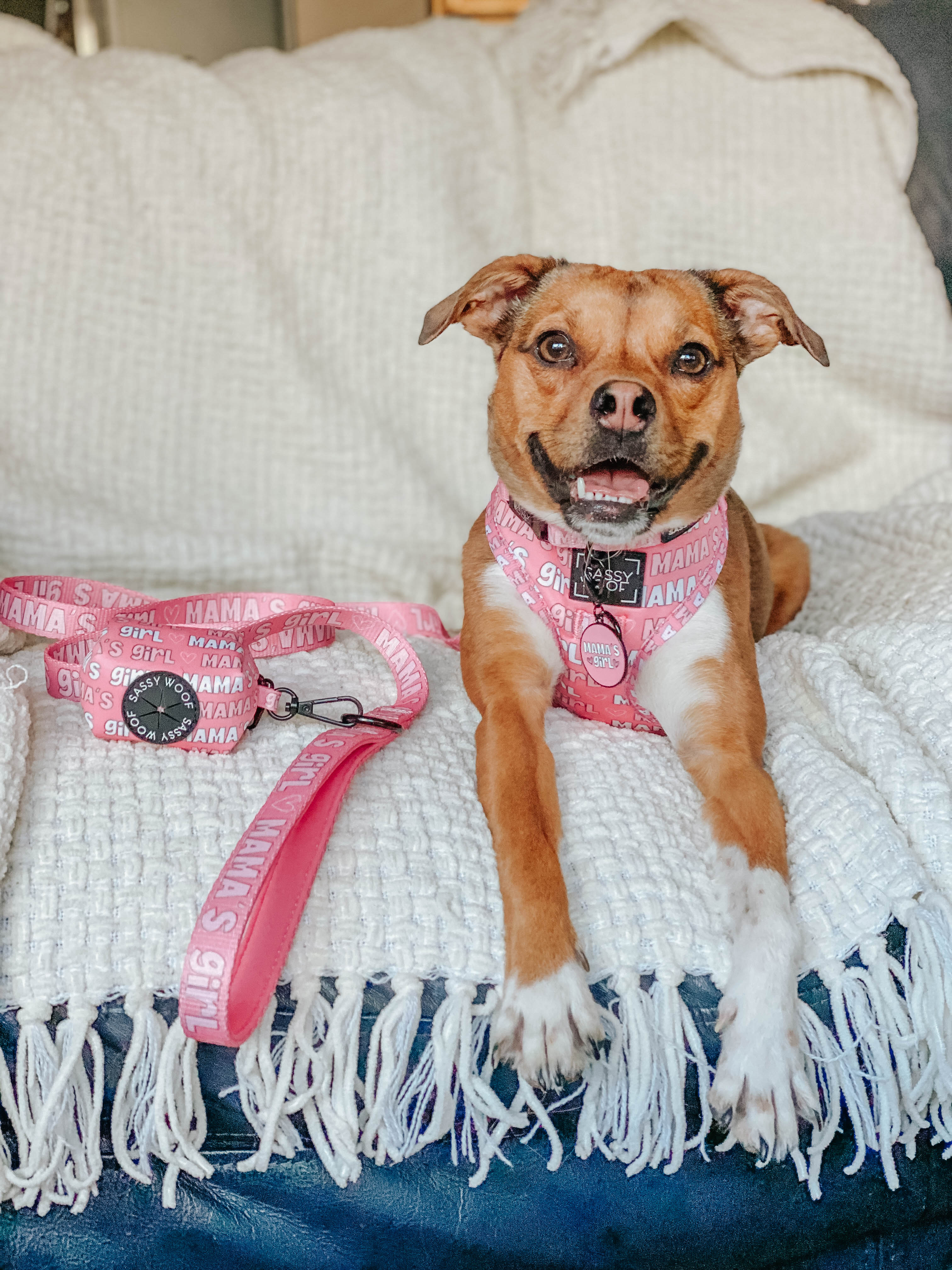 Collar Tag - Mama's Girl