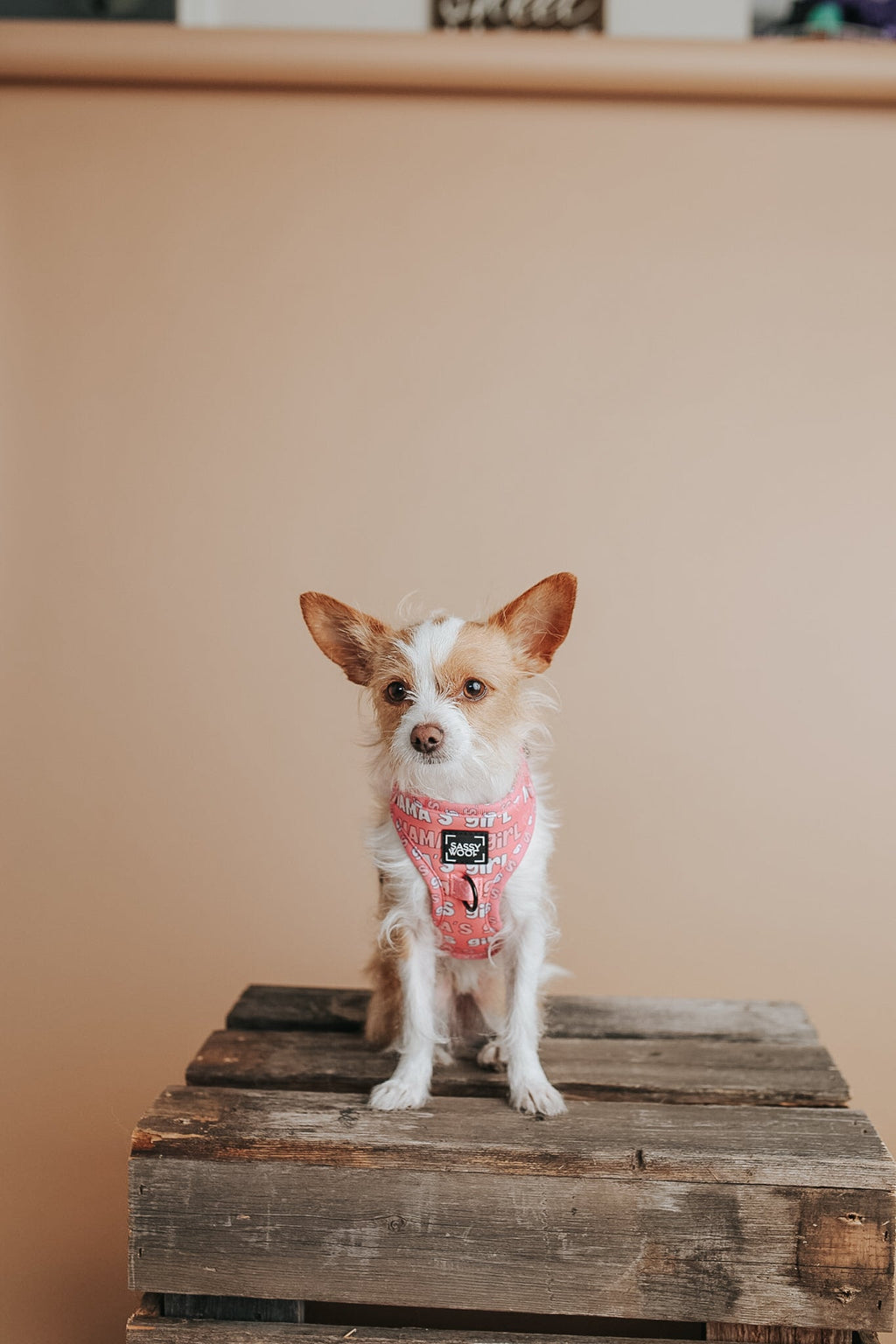 Collar Tag - Mama's Girl