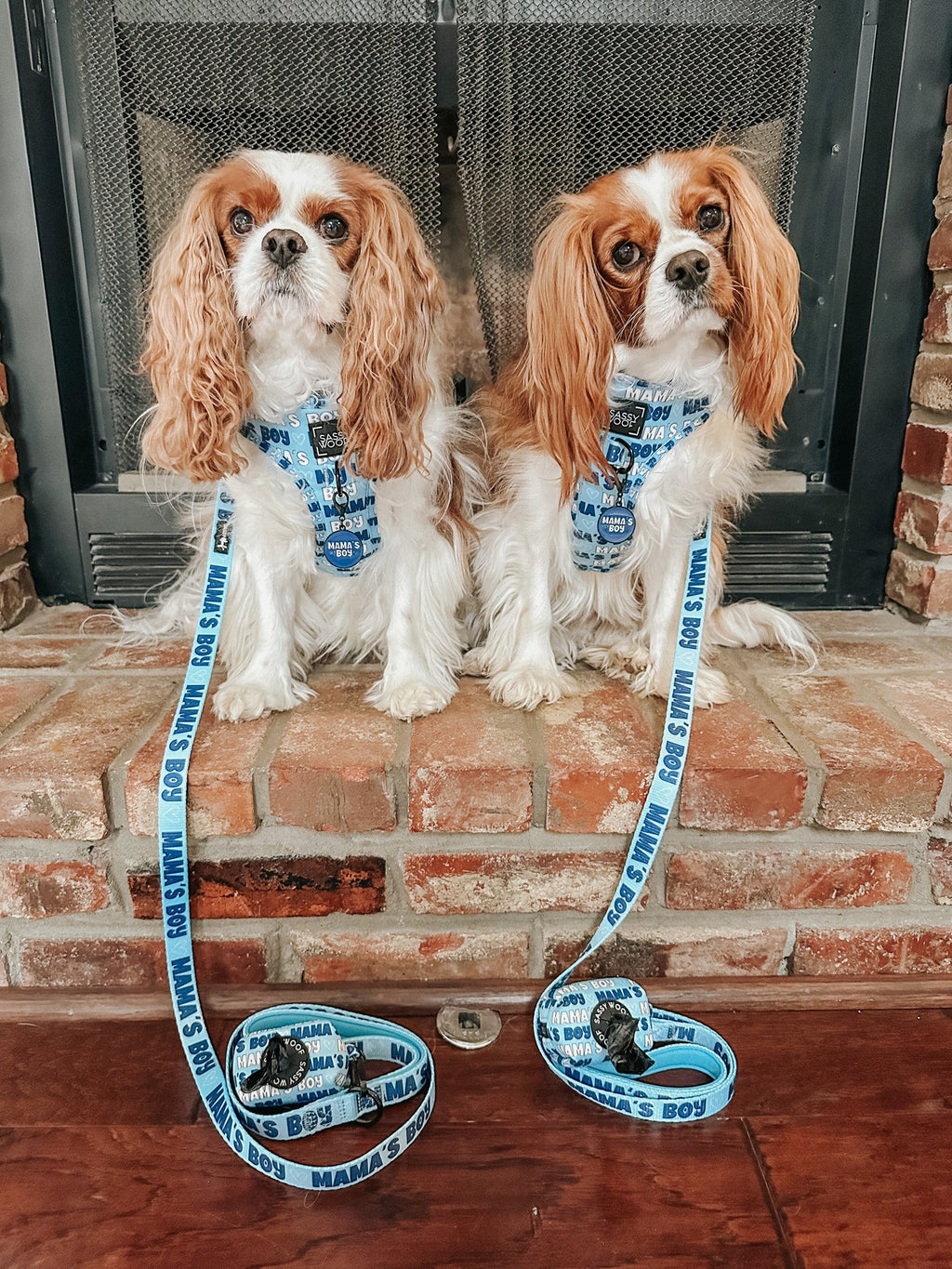 Collar Tag - Mama's Boy