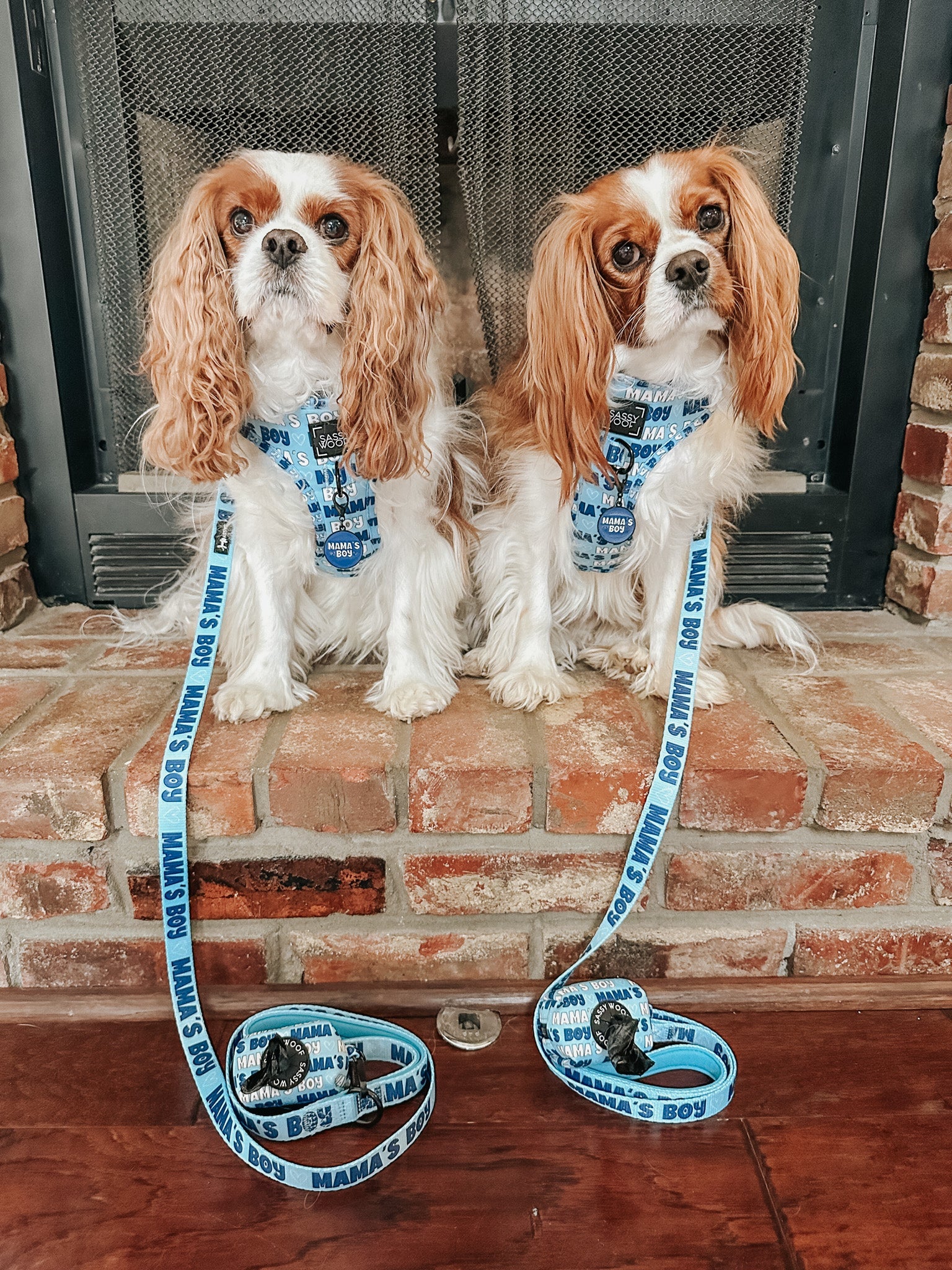 Collar Tag - Mama's Boy