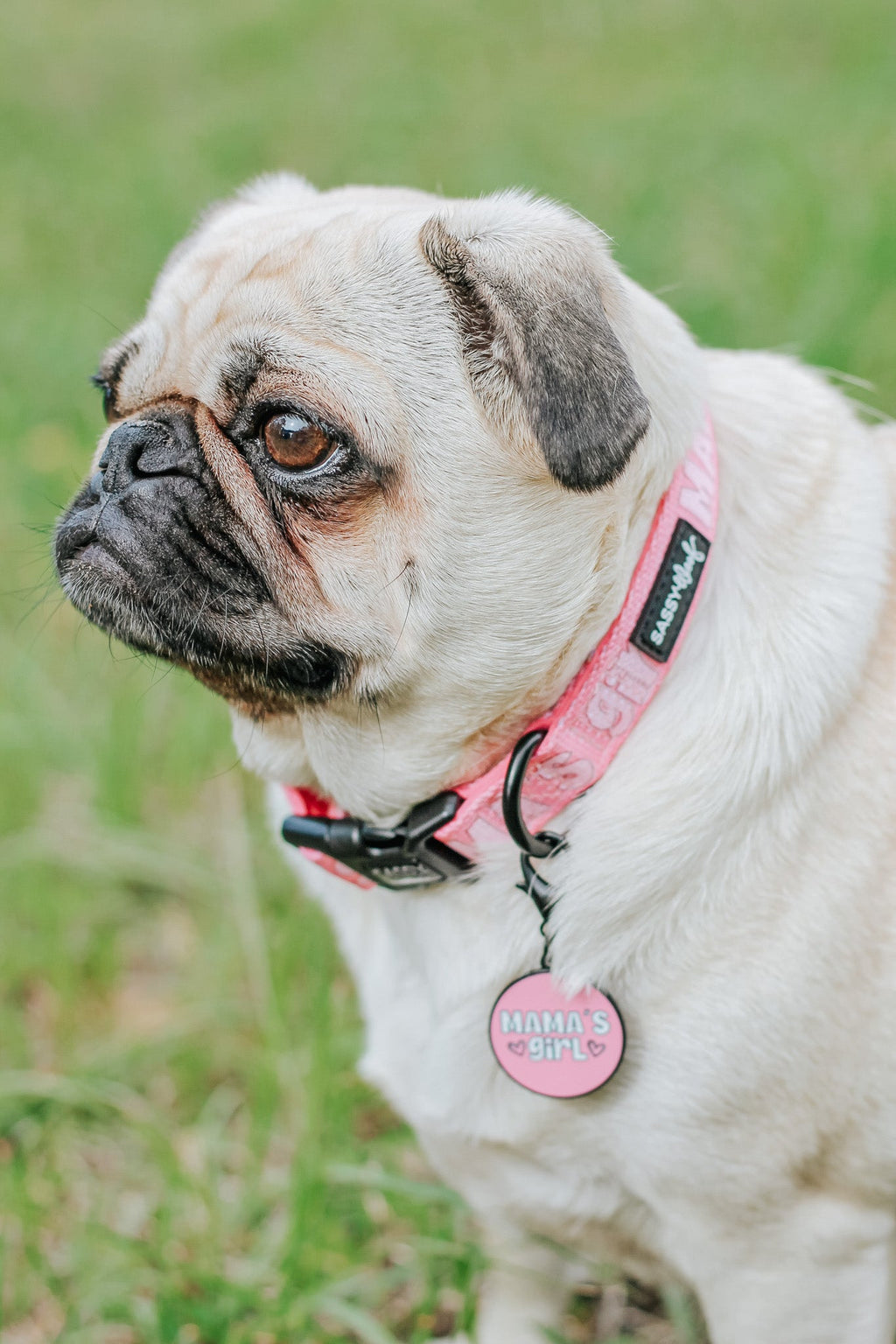 Collar Tag - Mama's Girl