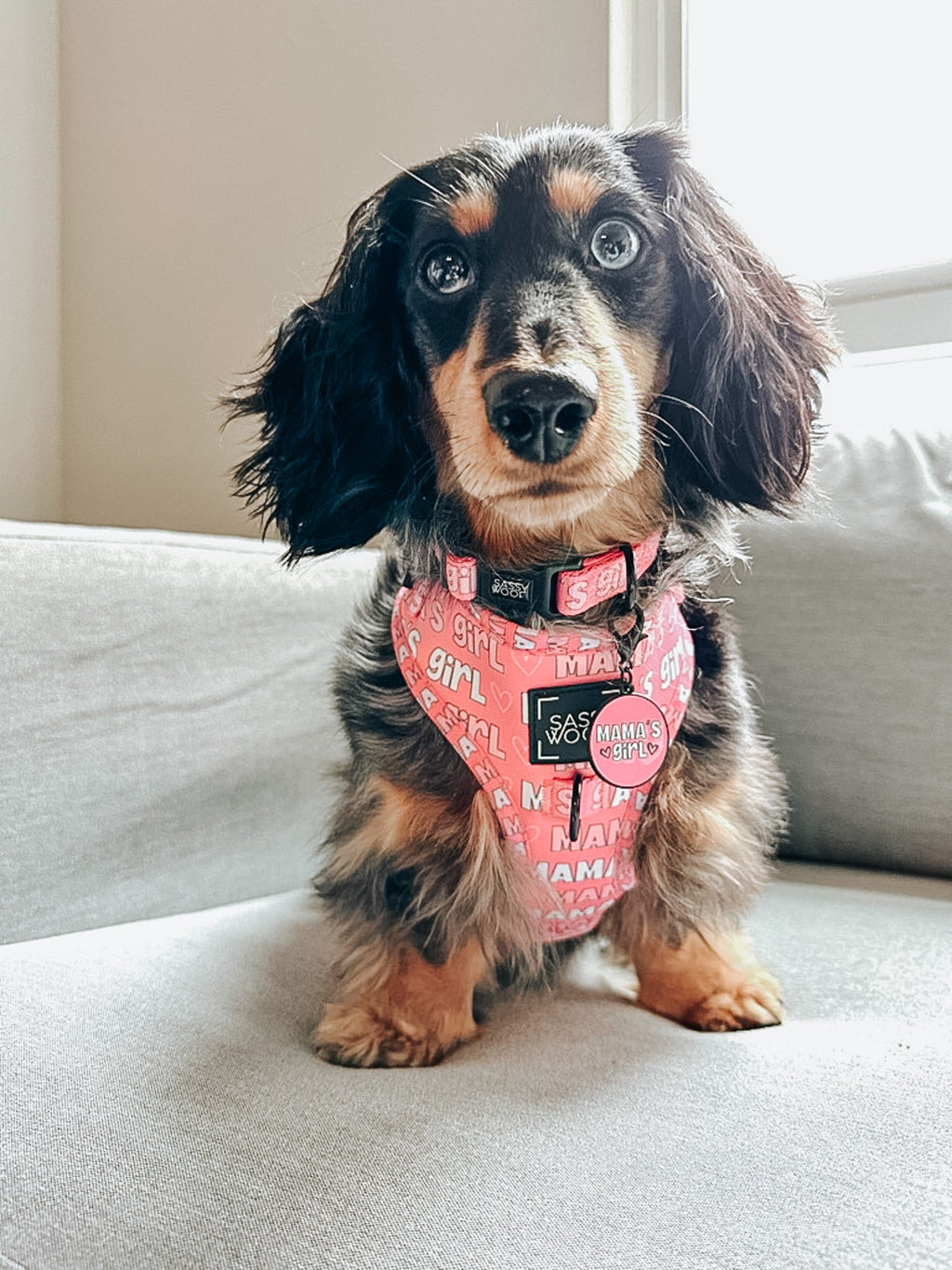 Collar Tag - Mama's Girl