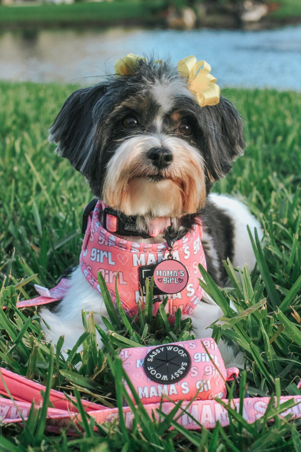 Collar Tag - Mama's Girl