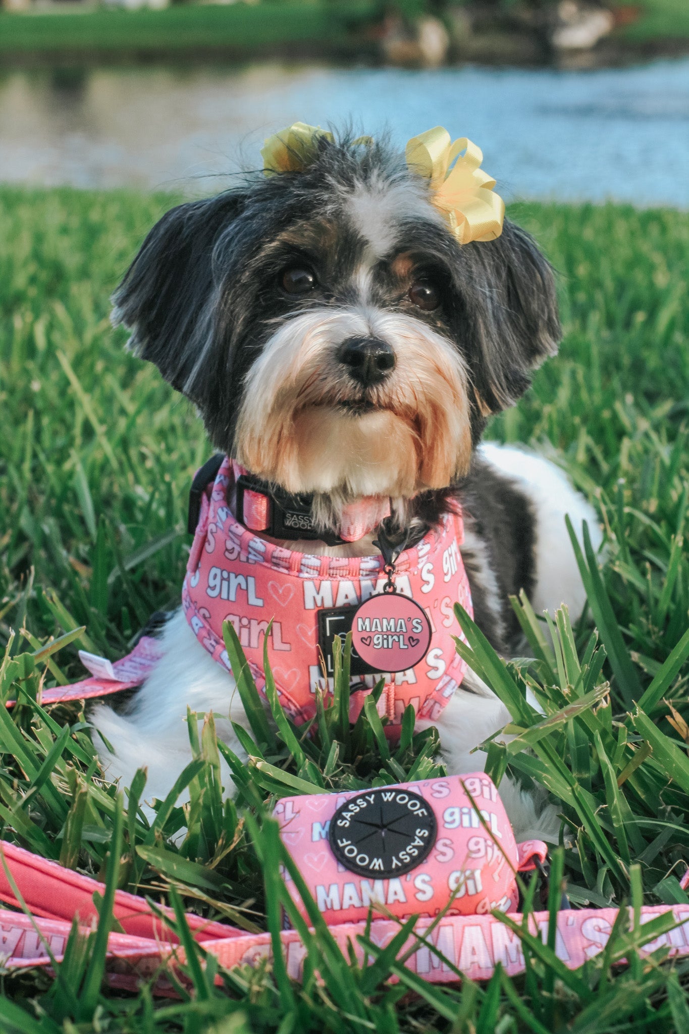 Collar Tag - Mama's Girl