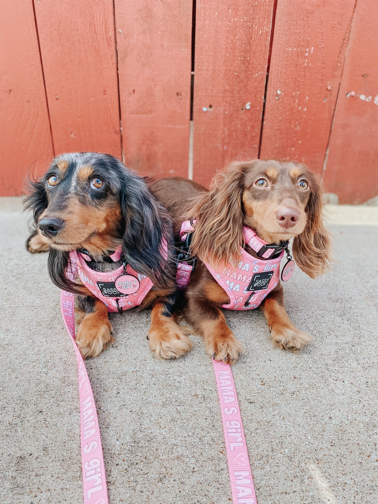Collar Tag - Mama's Girl