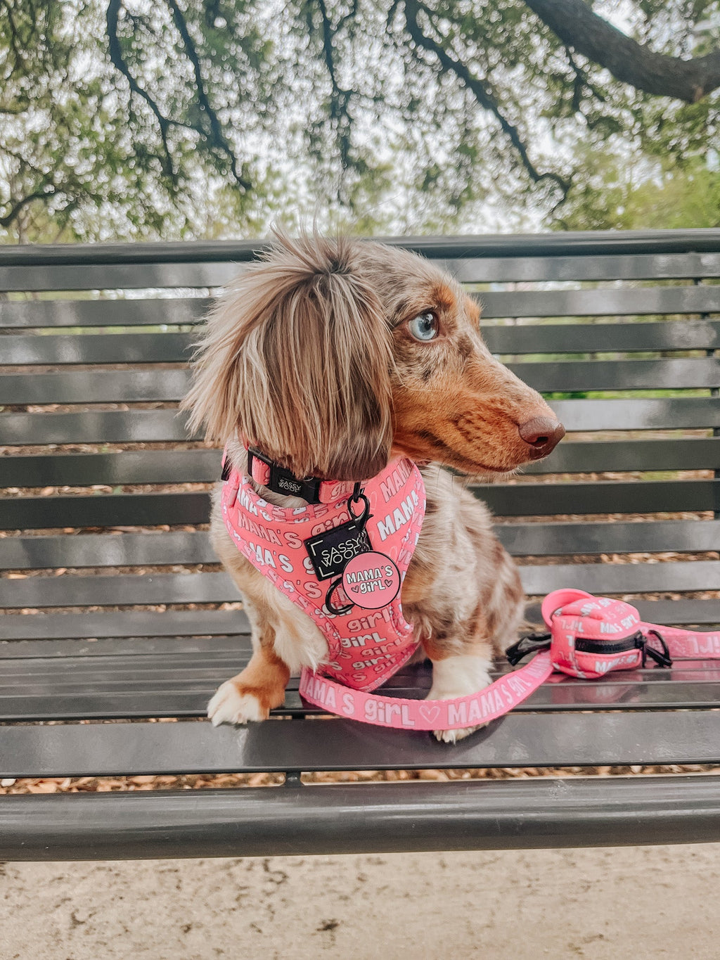 Collar Tag - Mama's Girl