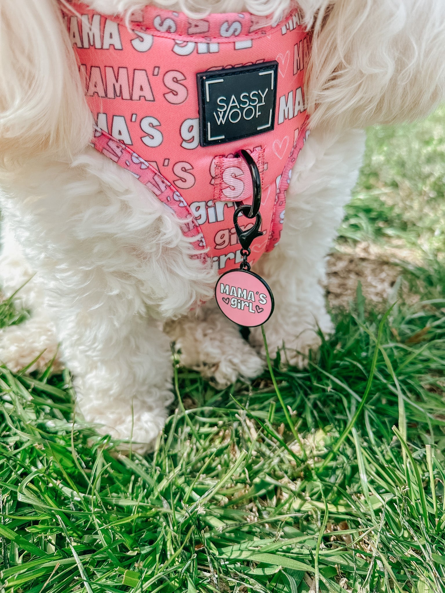 Collar Tag - Mama's Girl