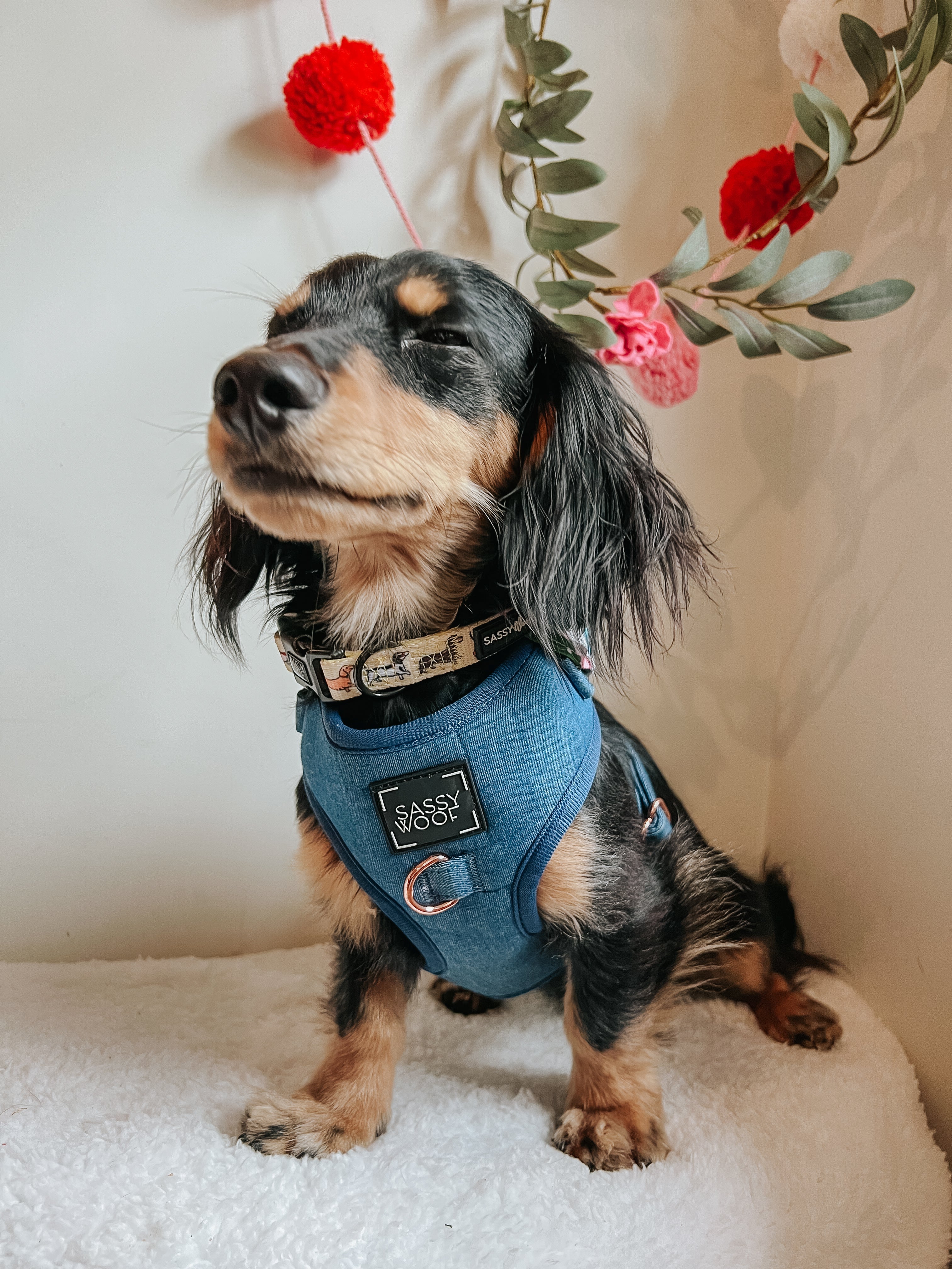 Dog Adjustable Harness - Denim