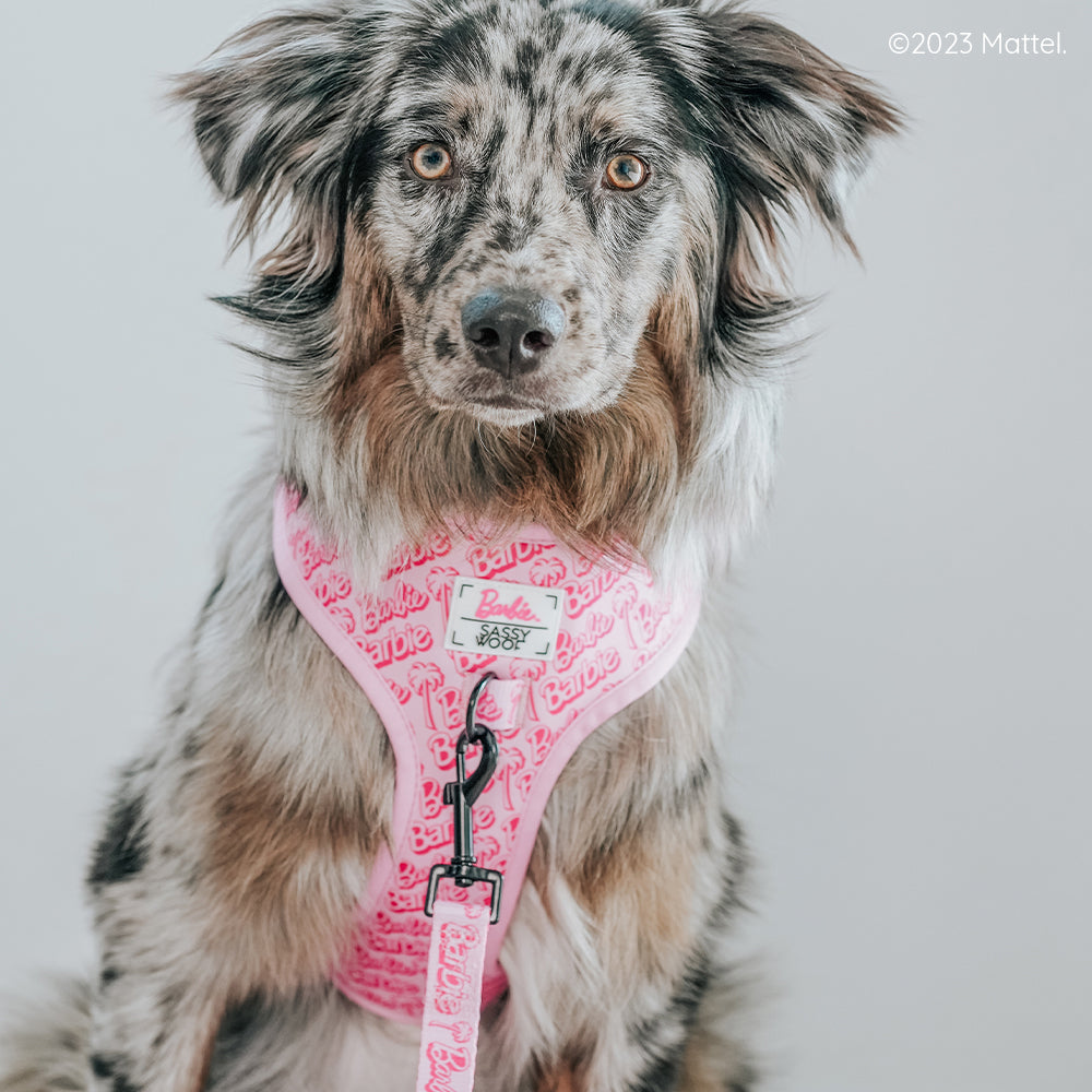 Dog Leash - BARBIE™ Malibu