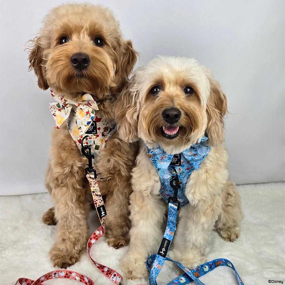 Dog Adjustable Harness - Disney's Cinderella