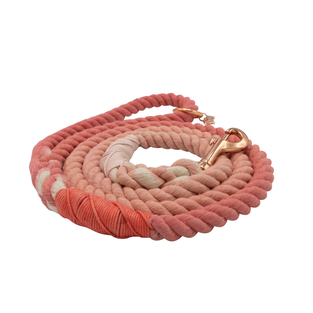 Dog Rope Leash - Dreamy