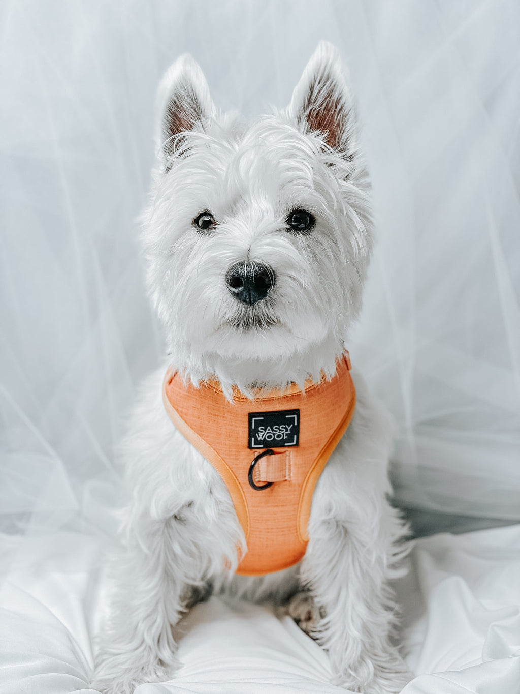 Dog Adjustable Harness - Apple Cider