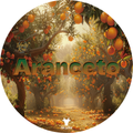 Wholly Kaw Aranceto Shaving Collection