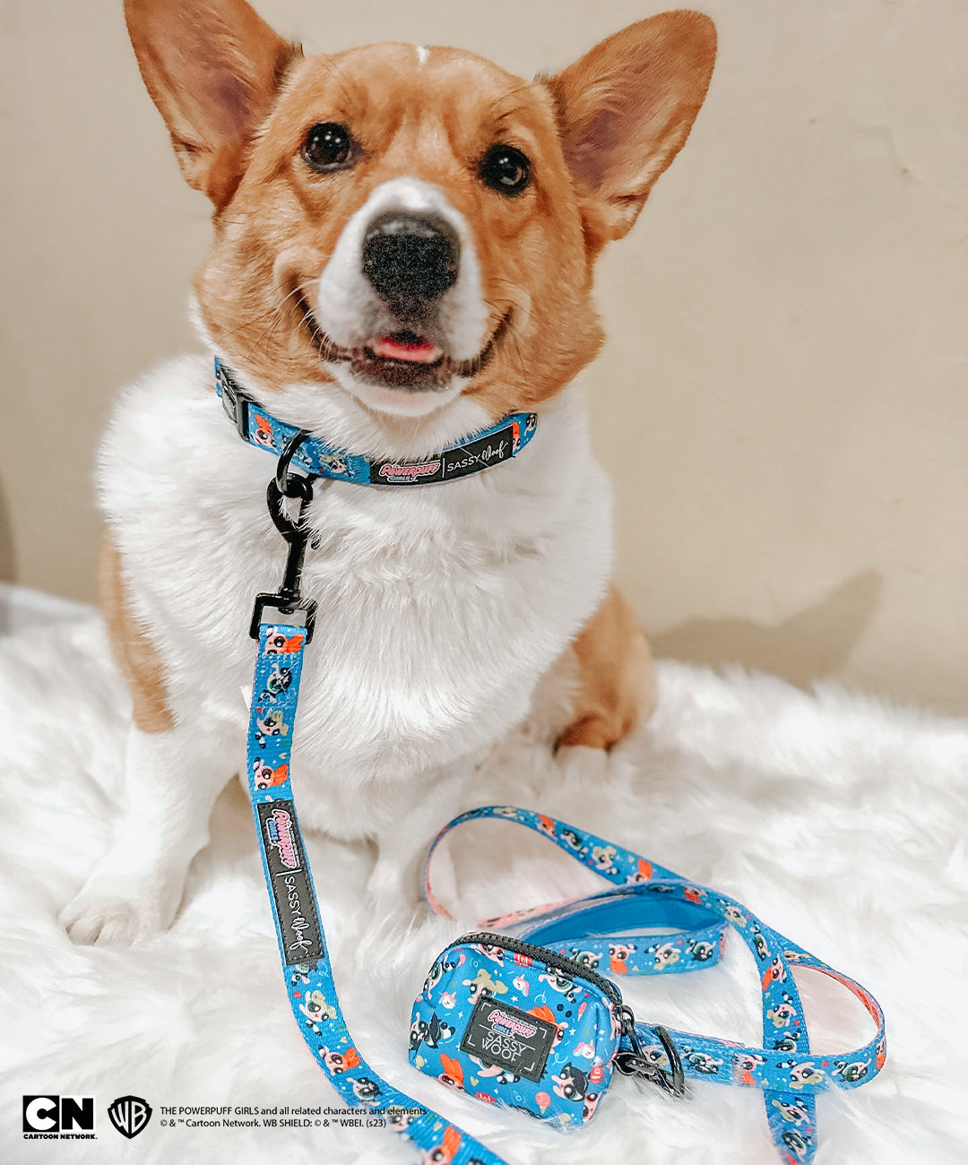 Dog Collar - The Powerpuff Girls™ (Blue)