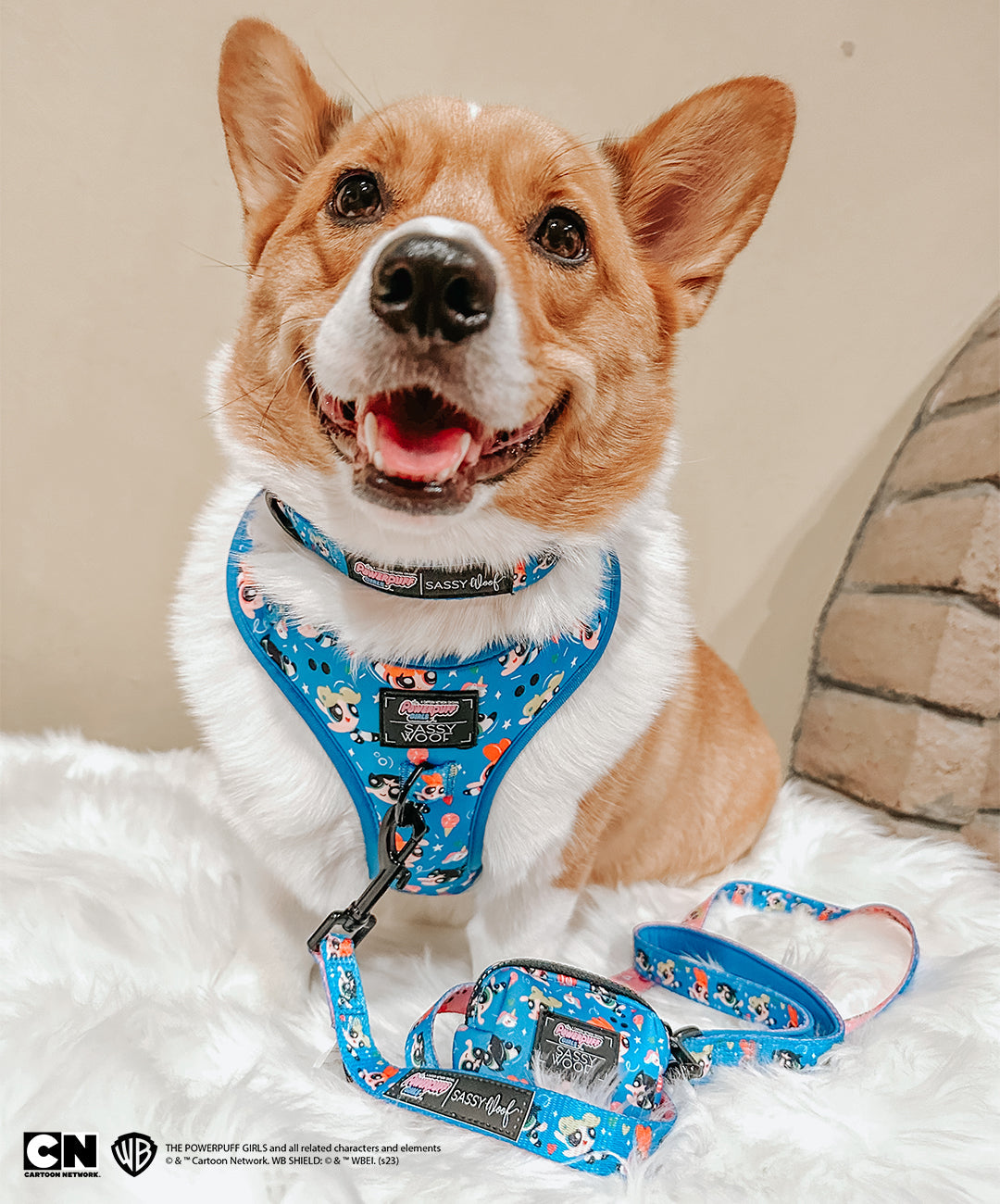 Dog Collar - The Powerpuff Girls™ (Blue)